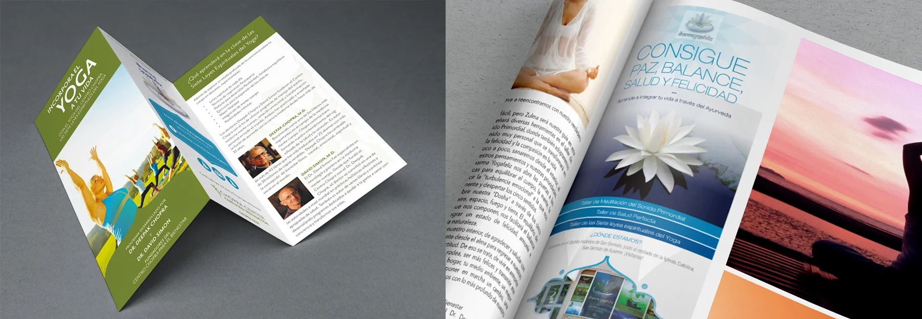 TRIFOLD & MAGAZINE ADS