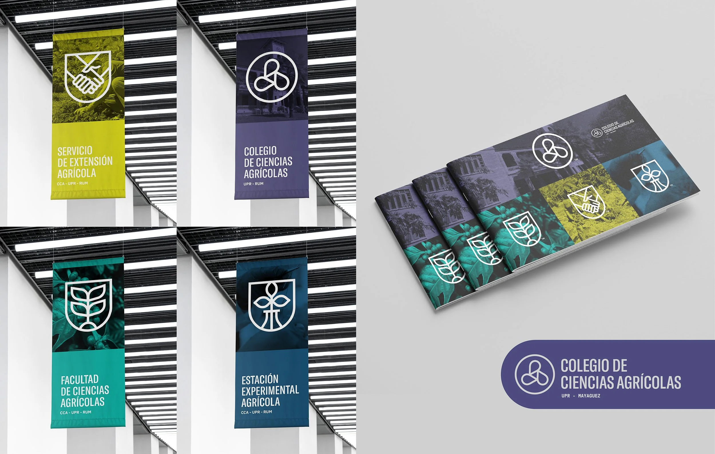 Imagenes CCG portfolio web_25.jpg
