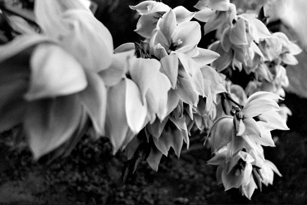 Screen Shot 2015-06-14 at 8.24.53 PM.jpg