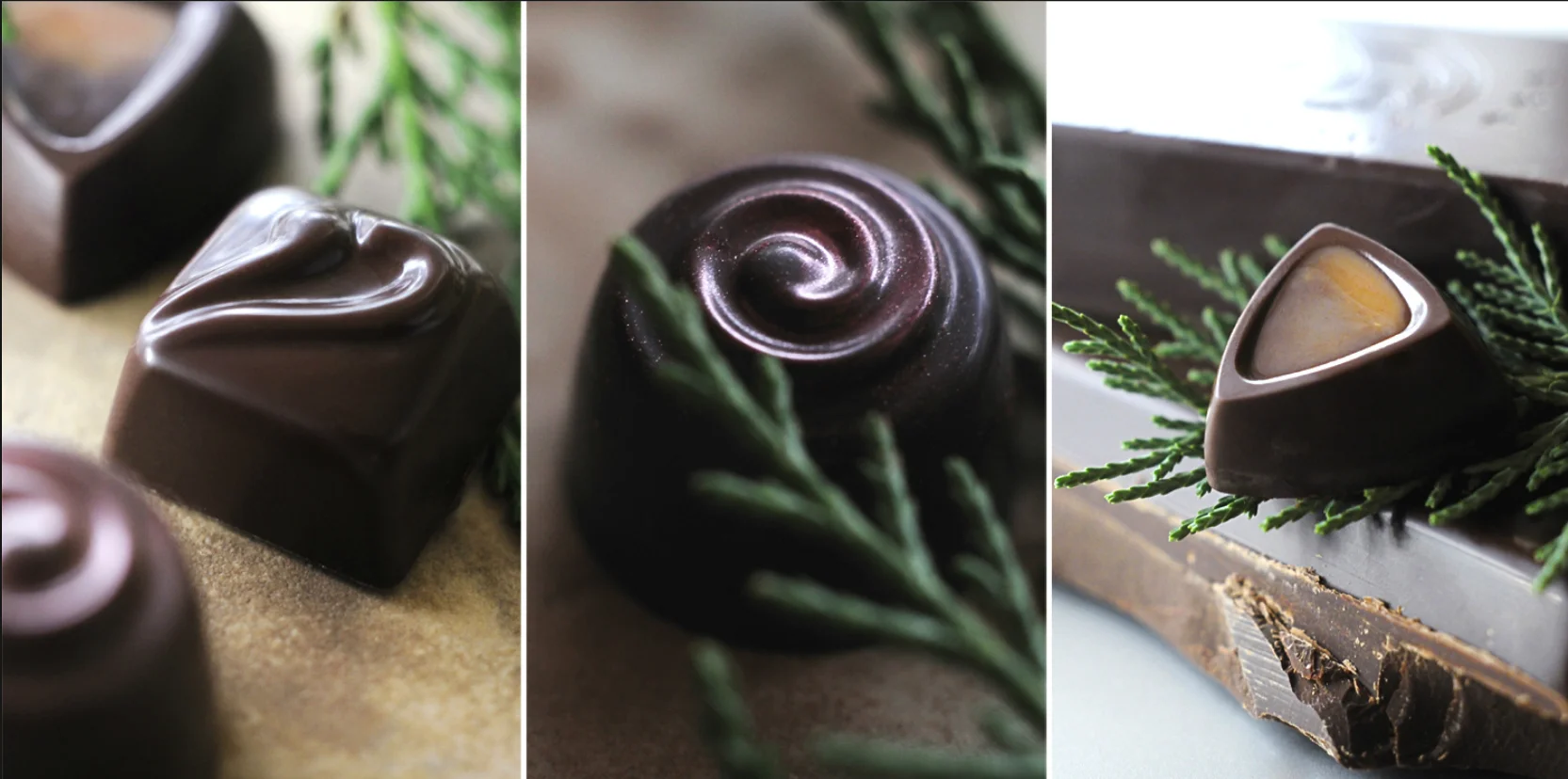 Screen Shot 2015-06-14 at 8.37.01 PM.jpg