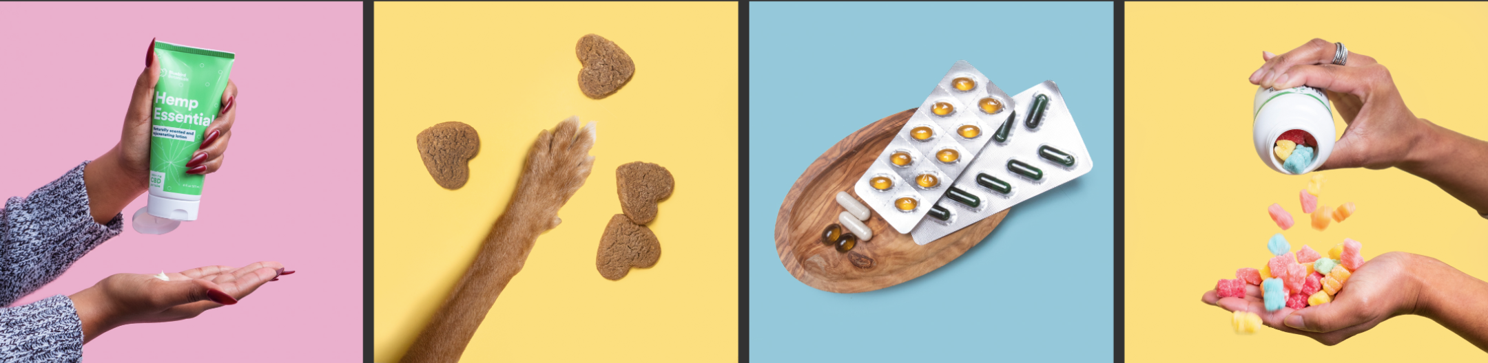 Screen Shot 2020-02-27 at 10.31.18 AM.png