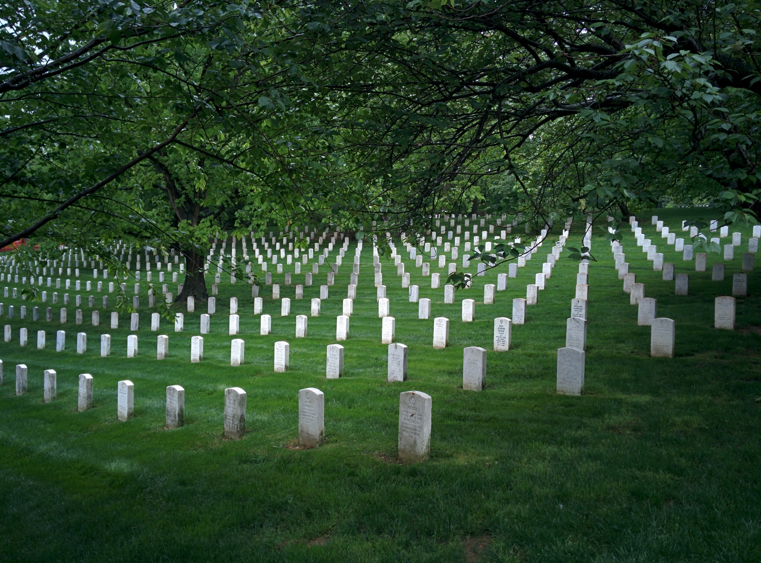 Arlington National Cemetary