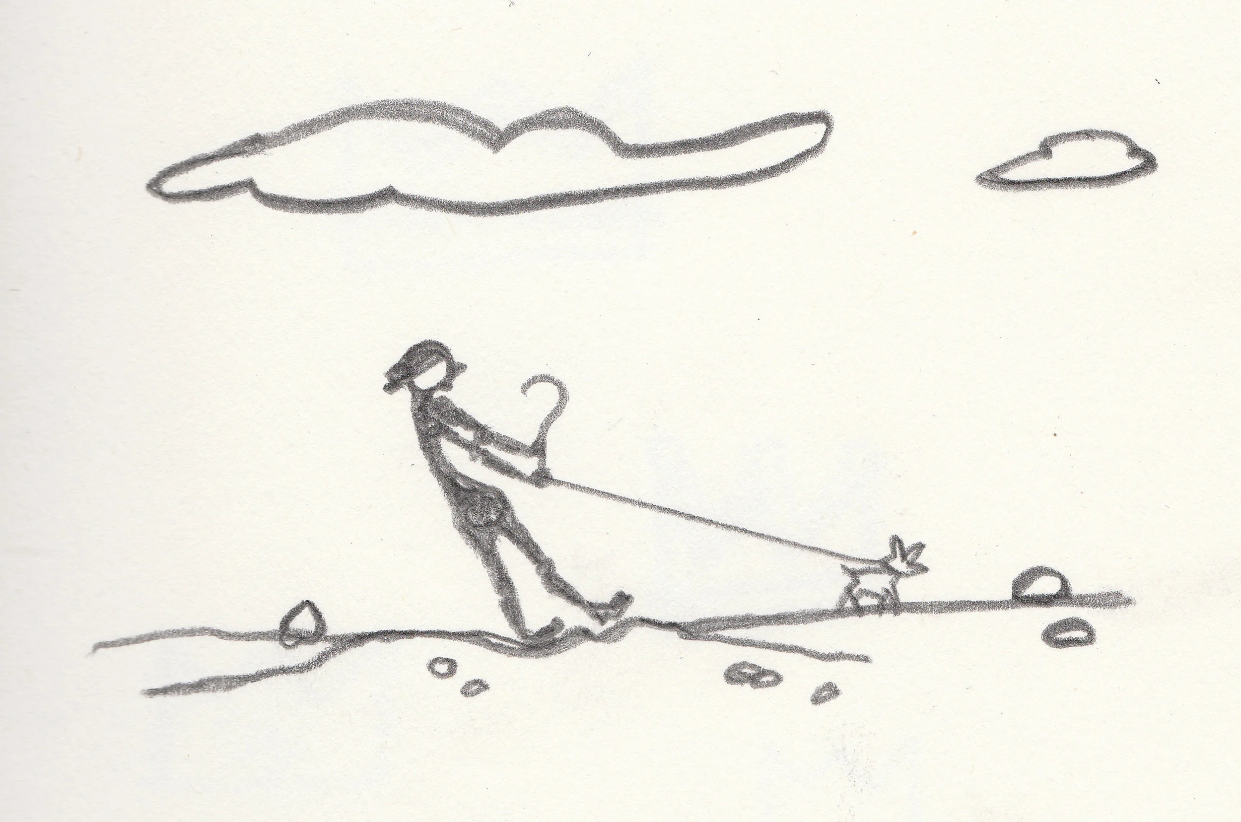 Walk the dog