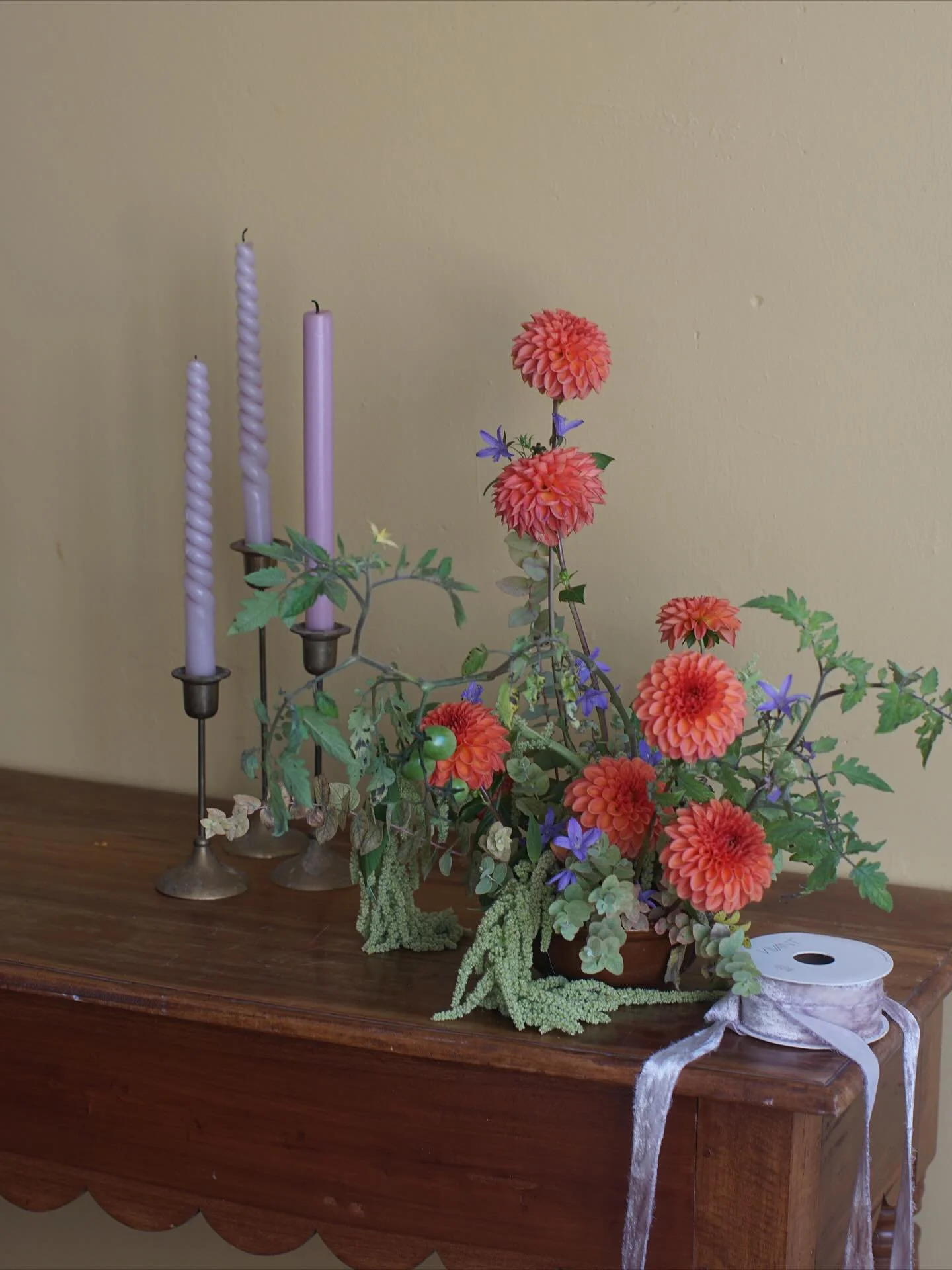 Belgian dahlias, closing the season with quiet grace 💕