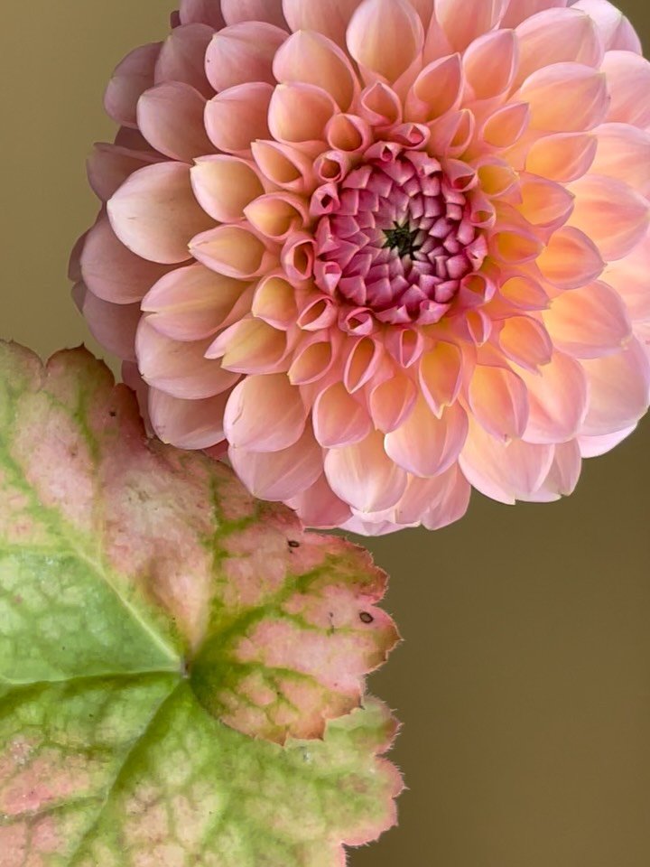 October recap 🍂☕️🎃