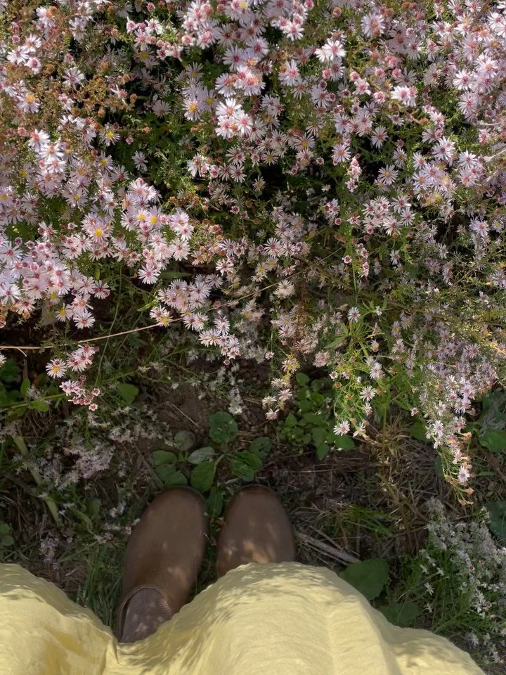 Cette semaine, les champs s&rsquo;assoupissent doucement - la saison des fleurs belges touche &agrave; sa fin 🌾

Si vous avez achet&eacute; chez nous entre mars et aujourd&rsquo;hui, vous avez ramen&eacute; bien plus qu&rsquo;un bouquet sans pestici