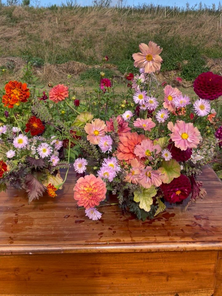 Thankful in every way! 

While my hands are busy with wreath-making, my mind keeps drifting back to the flower fields where this windy experiment came to life 🌪️ 

So grateful for the beauty around me, in things and in humans, the work I love and al