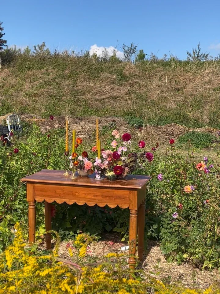 ABONNEMENT FLEURS - PRINTEMPS

Le printemps n’est vraiment pas loin 🌷 juste de l’autre côté de Noël ✨ 

Un bouquet local et de saison, chaque mois, pour illuminer le quotidien 💓

Offrez-le, laissez-vous tenter 🎁

Plus