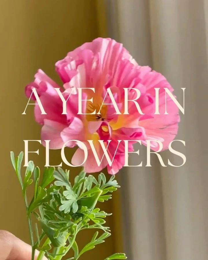 As I revisited my 2025 archive, to select one flower image for each month, I realised that, without planning it, I kept a quiet promise to myself: to create something just for me at least once a month ✨

I am so proud of having honoured my creative s