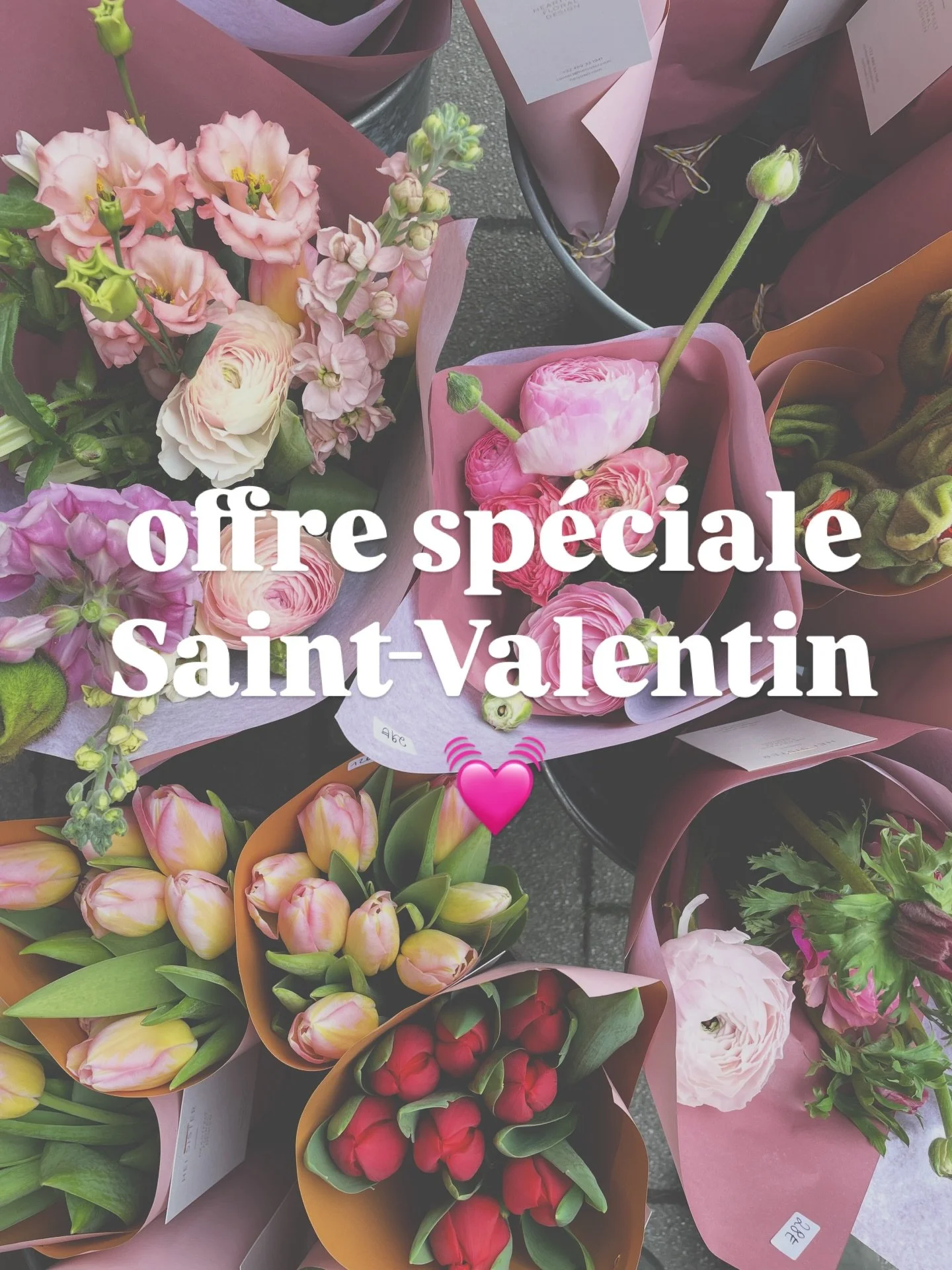 ✨ Offre spéciale Saint-Valentin ✨

La Saint-Valentin se prépare à l’avance 💝
Profitez de –10 % de réduction sur les précommandes avec le code : STVAL10 

Des fleurs éco-responsables, choisies ave