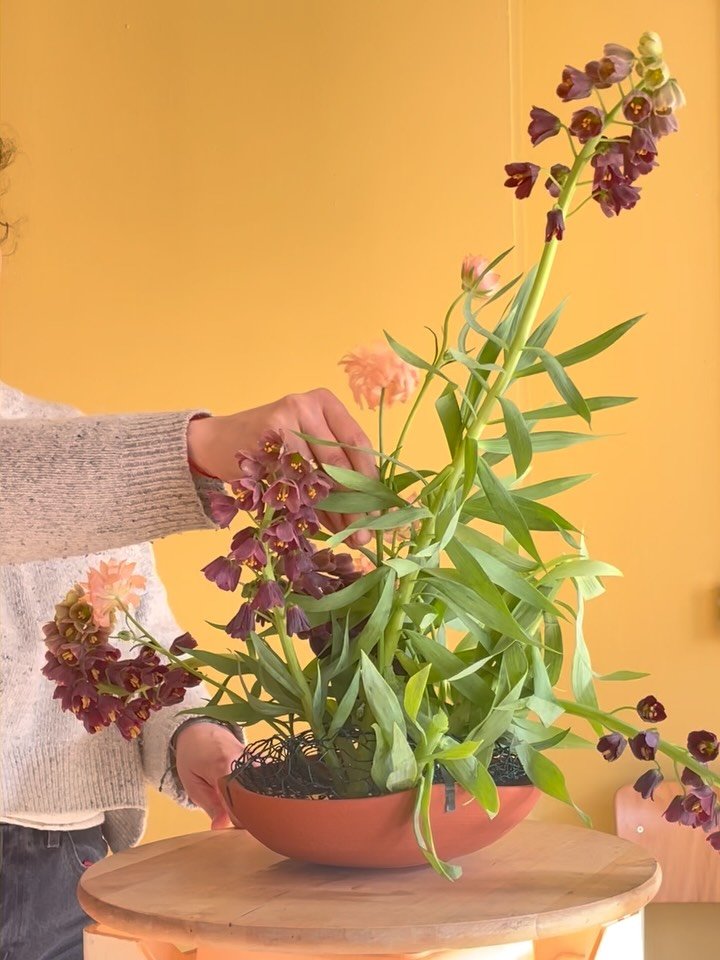 D&eacute;j&agrave; en train de compter les jours jusqu&rsquo;au printemps - et jusqu&rsquo;aux premiers fleurs belges 🌷 

J&rsquo;ai h&acirc;te de partager cette &eacute;nergie avec vous, &agrave; la boutique comme &agrave; l&rsquo;atelier. 

Cette 