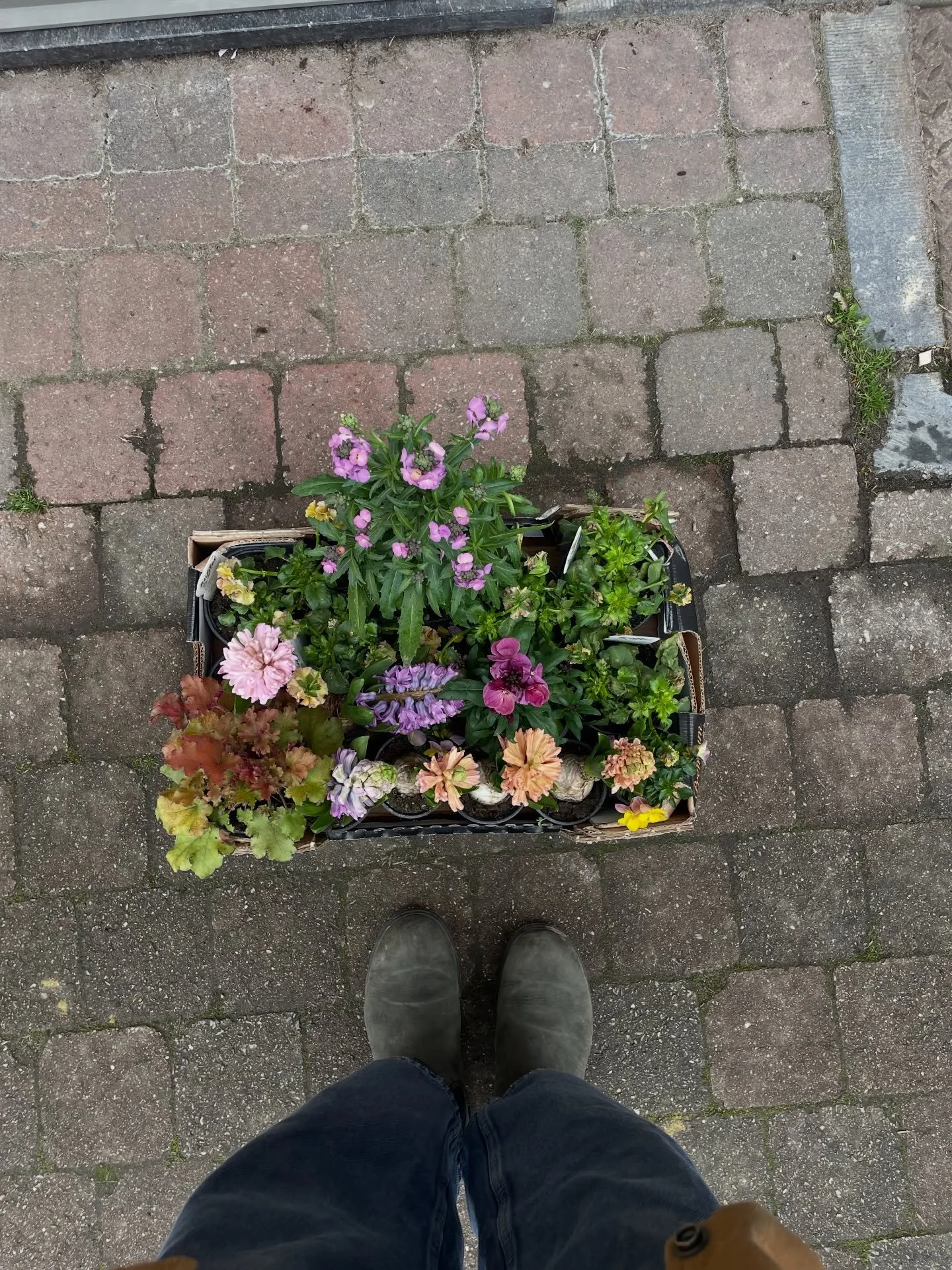 March in the studio💓🌱