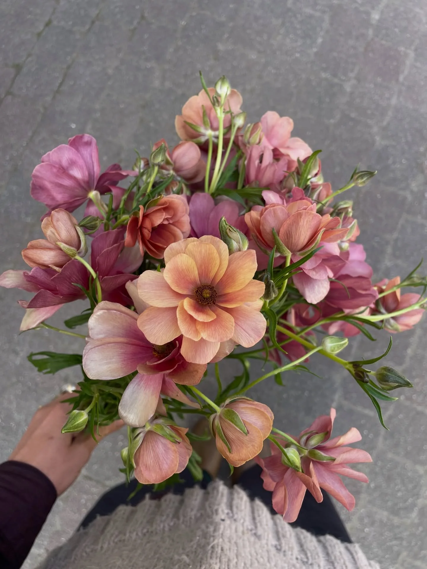 Le printemps dans l&rsquo;atelier 🐝