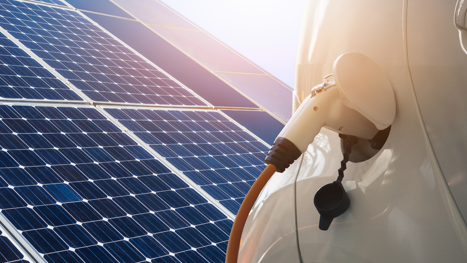 NEM 3.0 Update No. 4