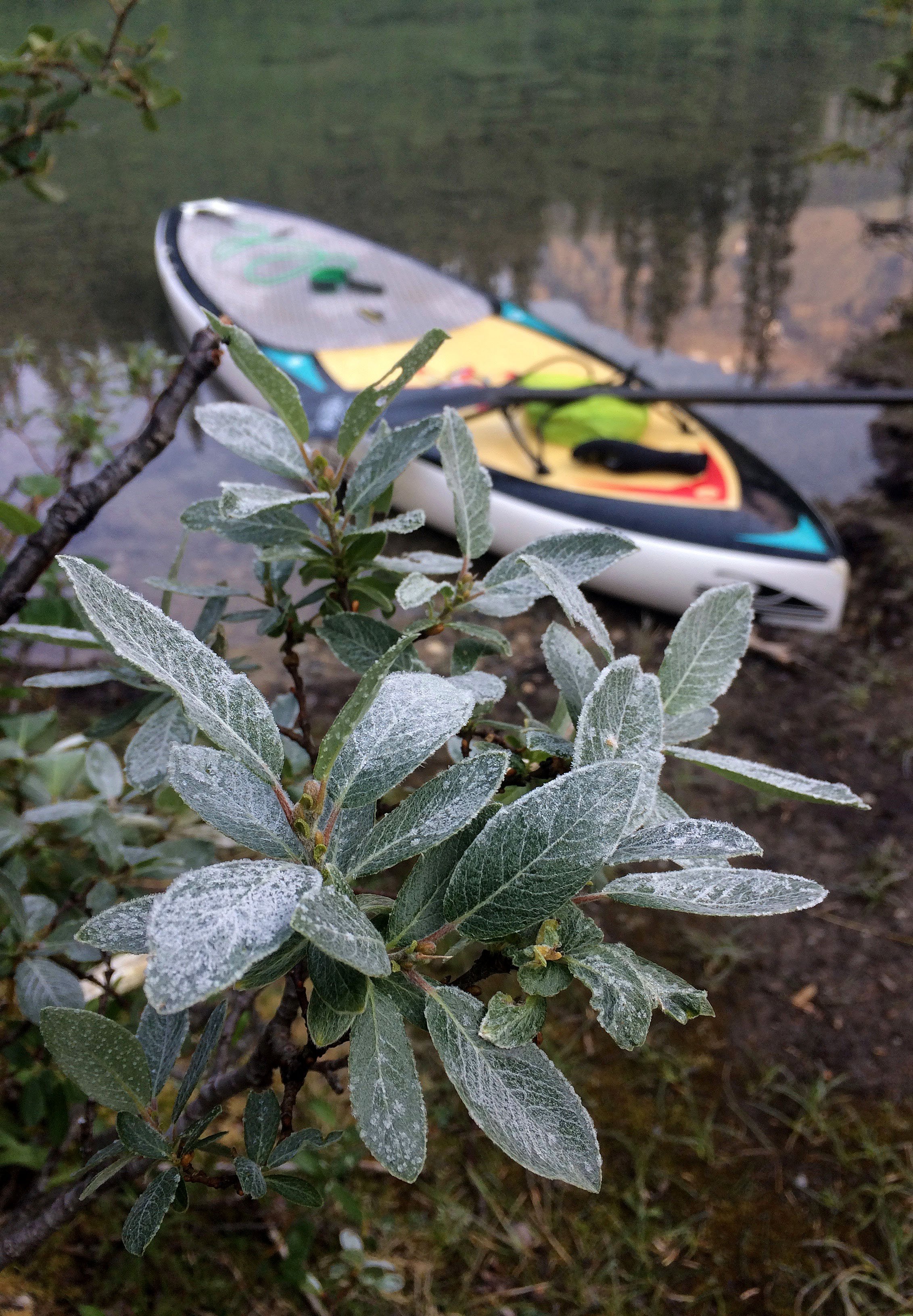 Moraine Lake SUP (8).jpg