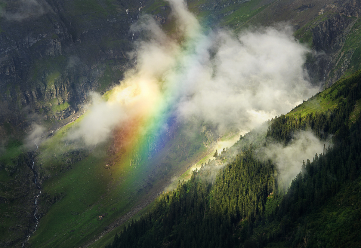 Swiss Rainbow (Copy)