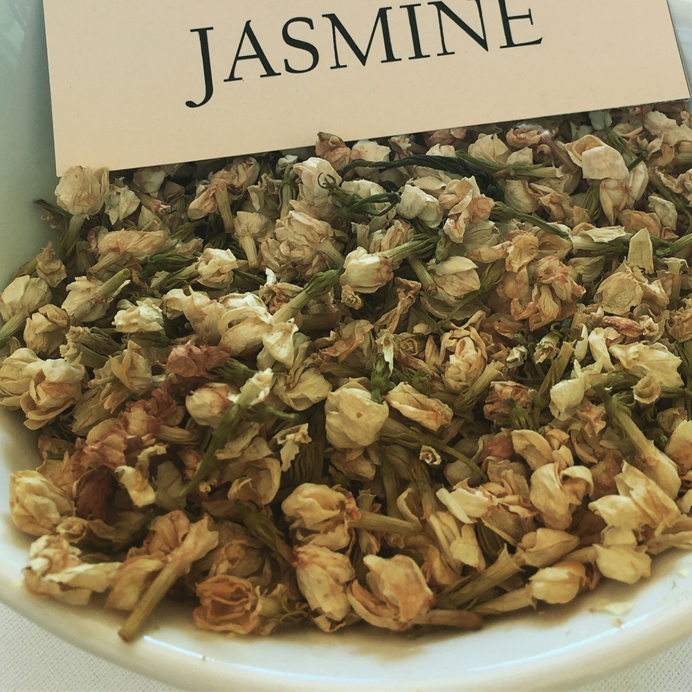 Jasmine.JPG