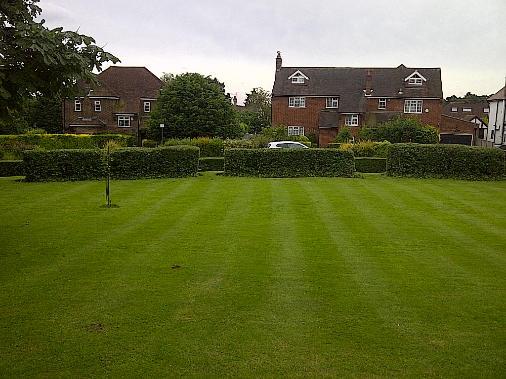 IMG-20120627-00187.jpg