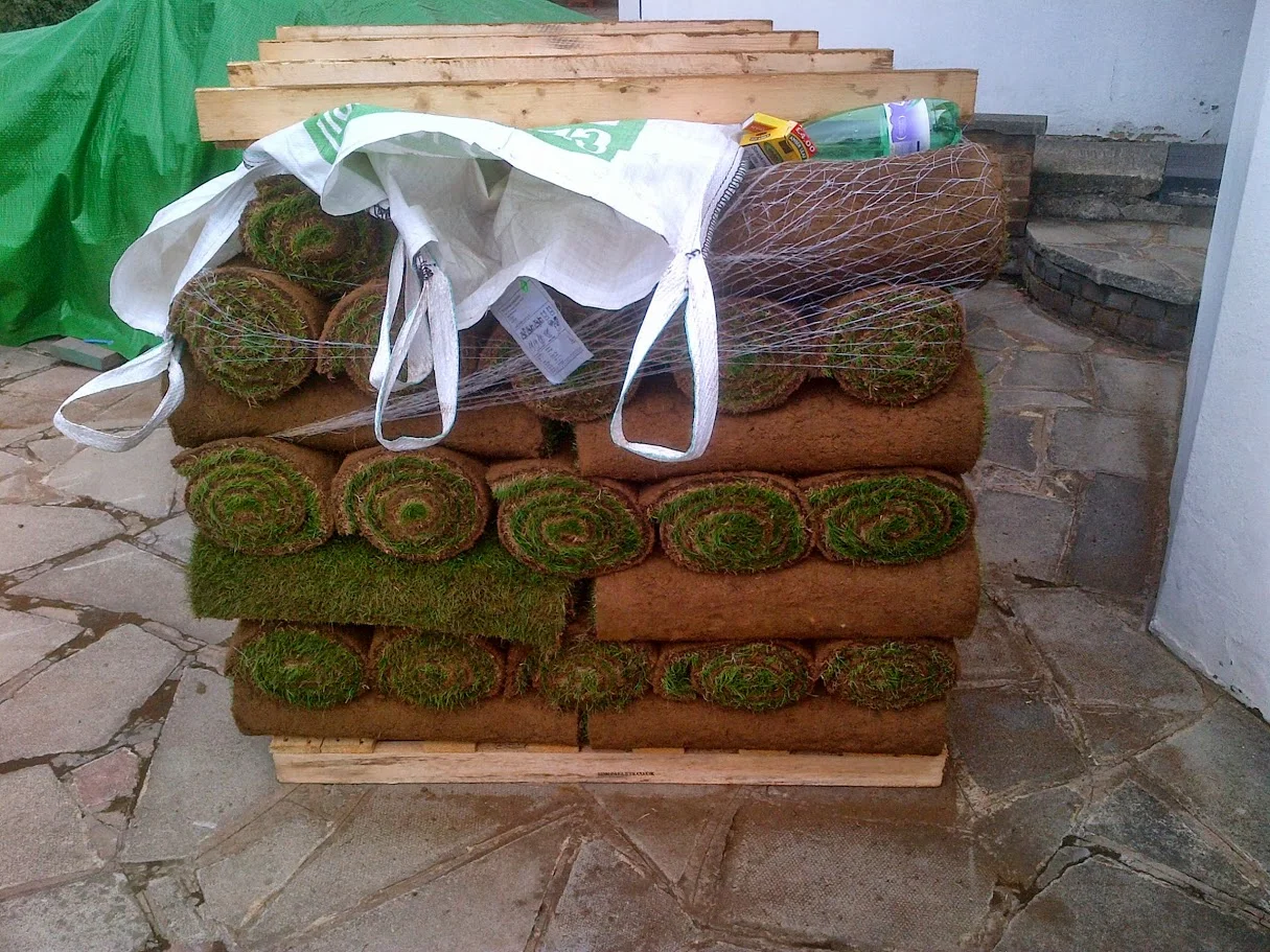 IMG-20130925-00157.jpg