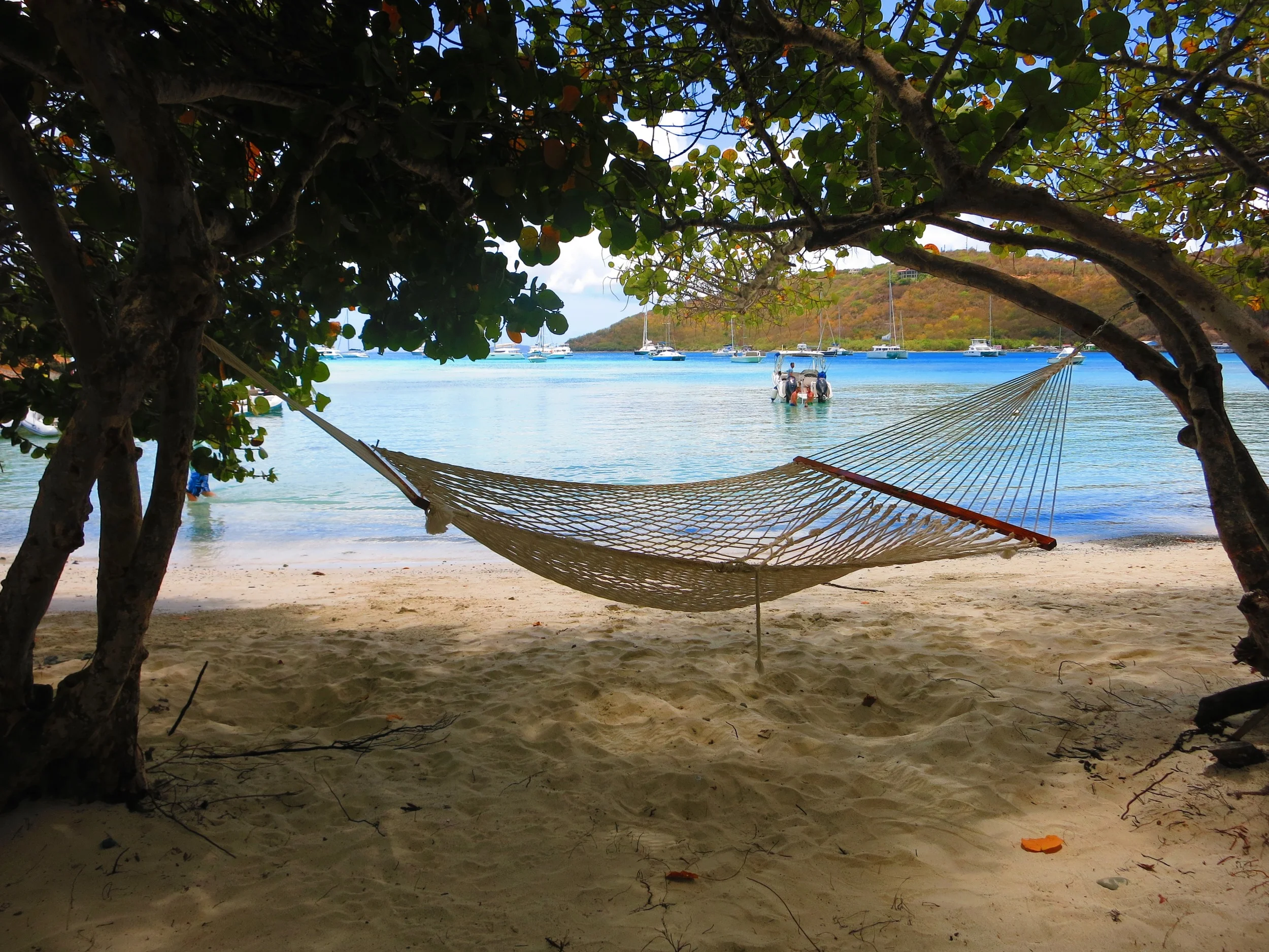 Hammock Hangout outside of Foxy's