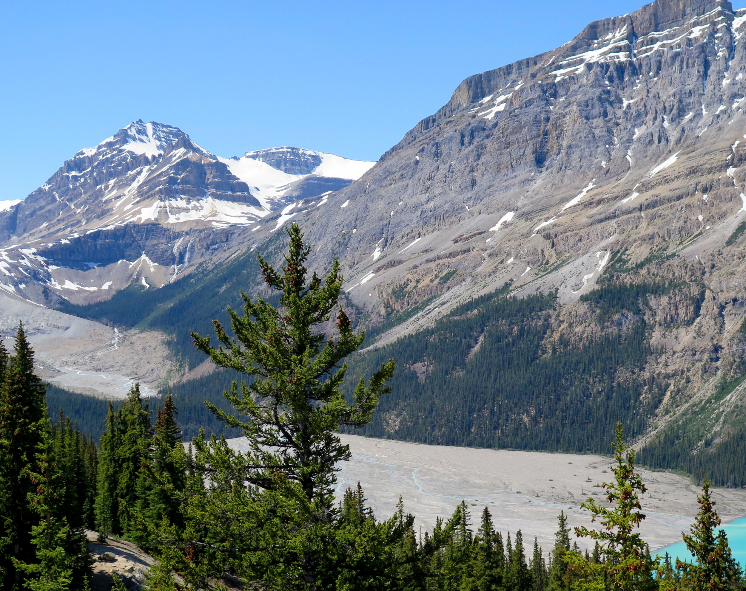 peyto1.jpg