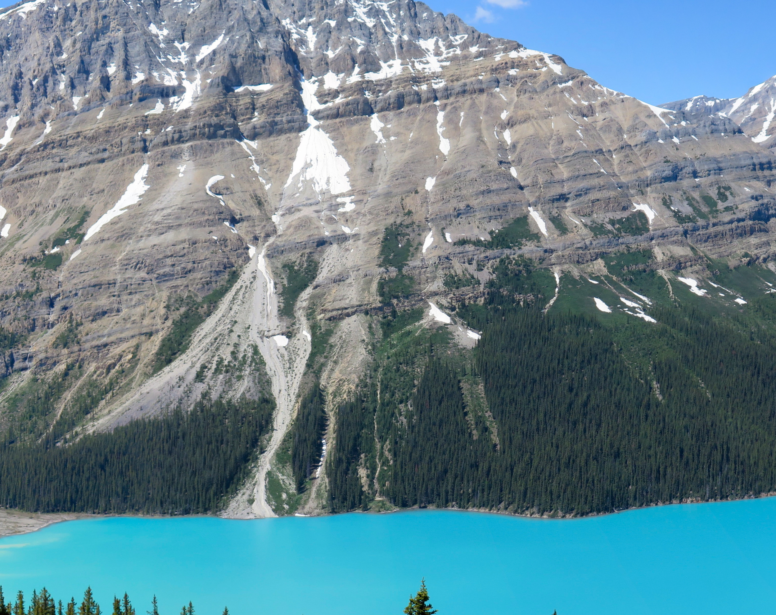 peyto2.jpg