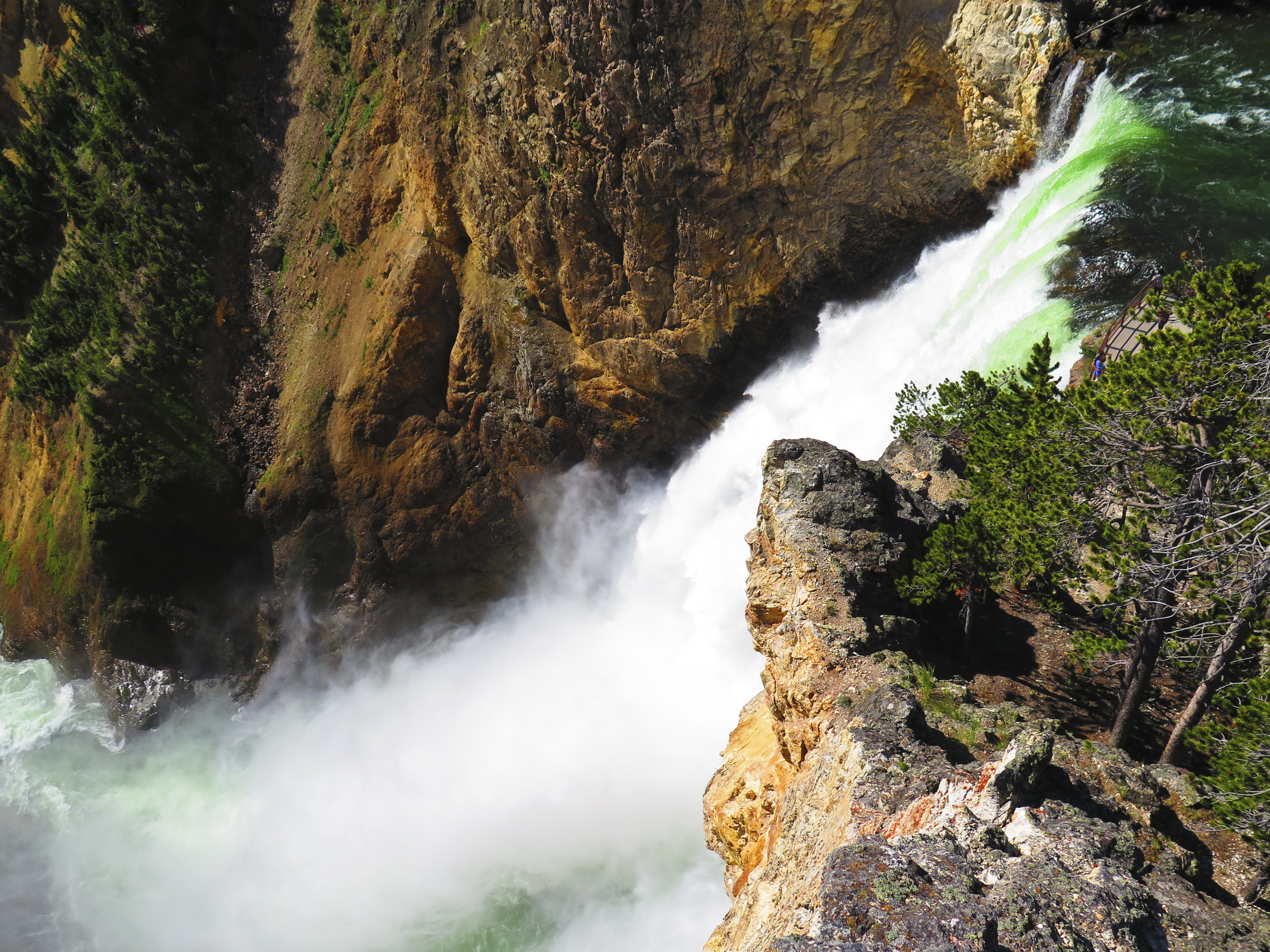 Yellowstone Falls in the Grand Canyon of Yellowstone.