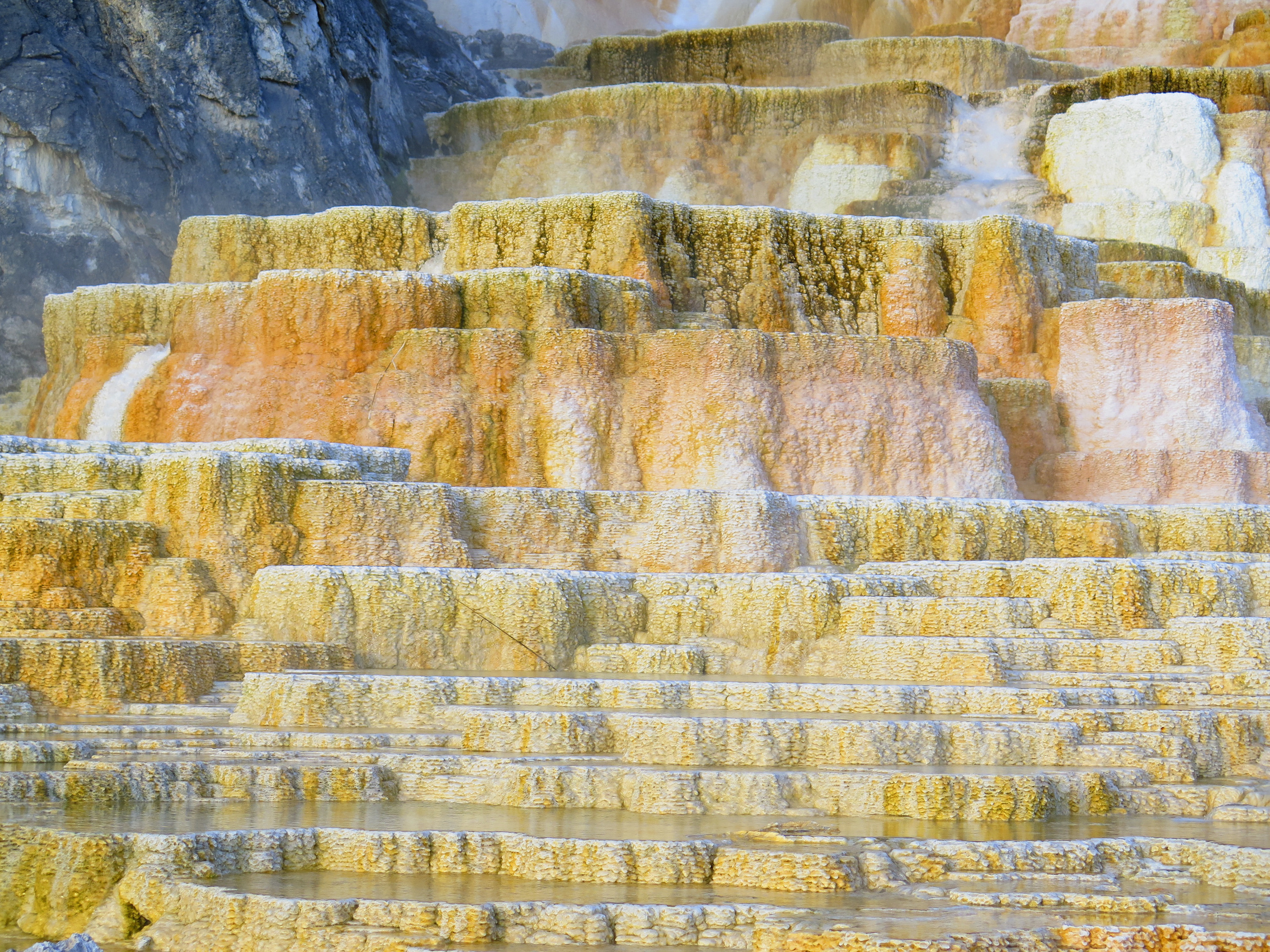 Mammoth Hot Springs