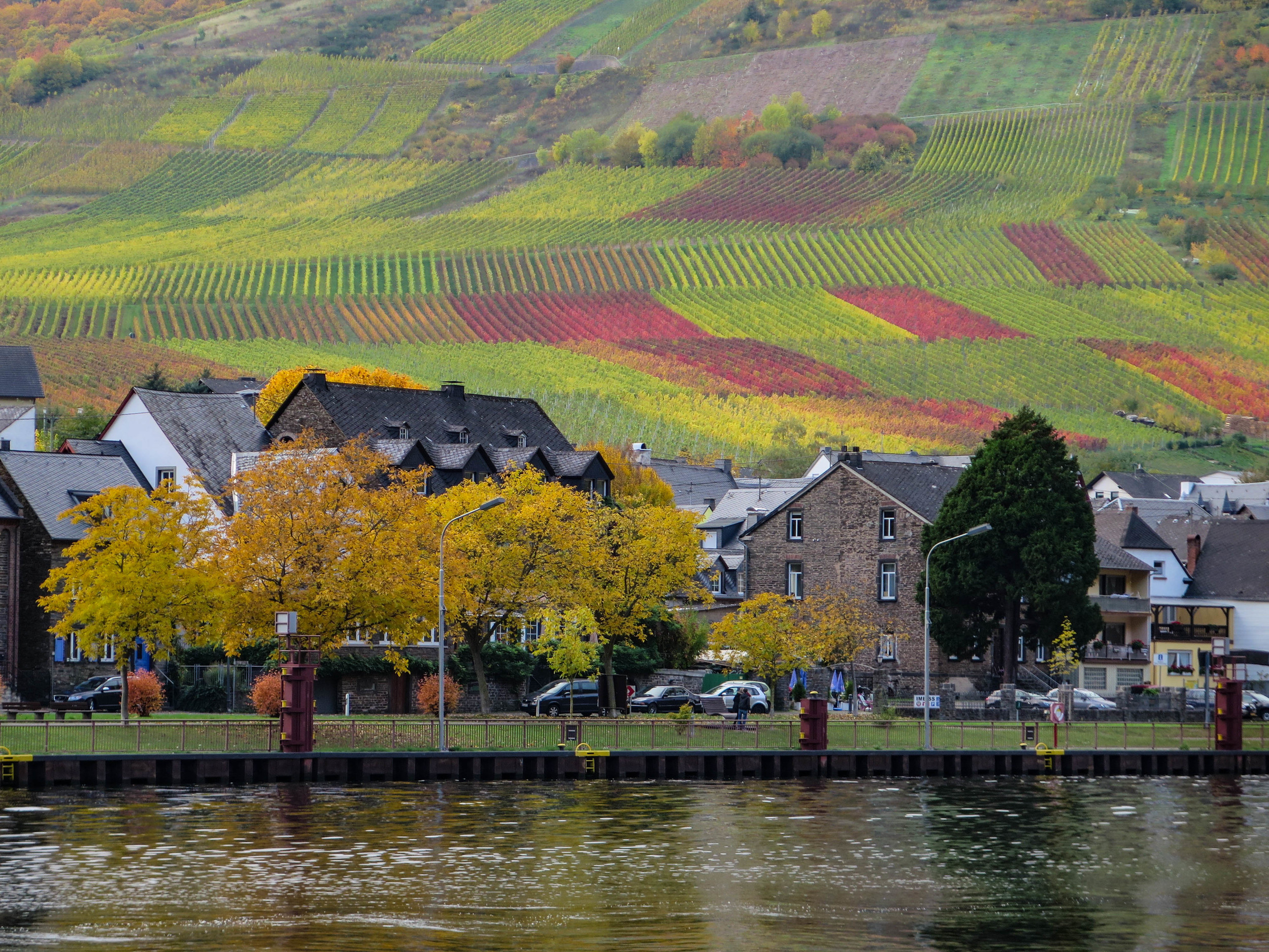 It was great to see the different colors of the vineyards in fall.