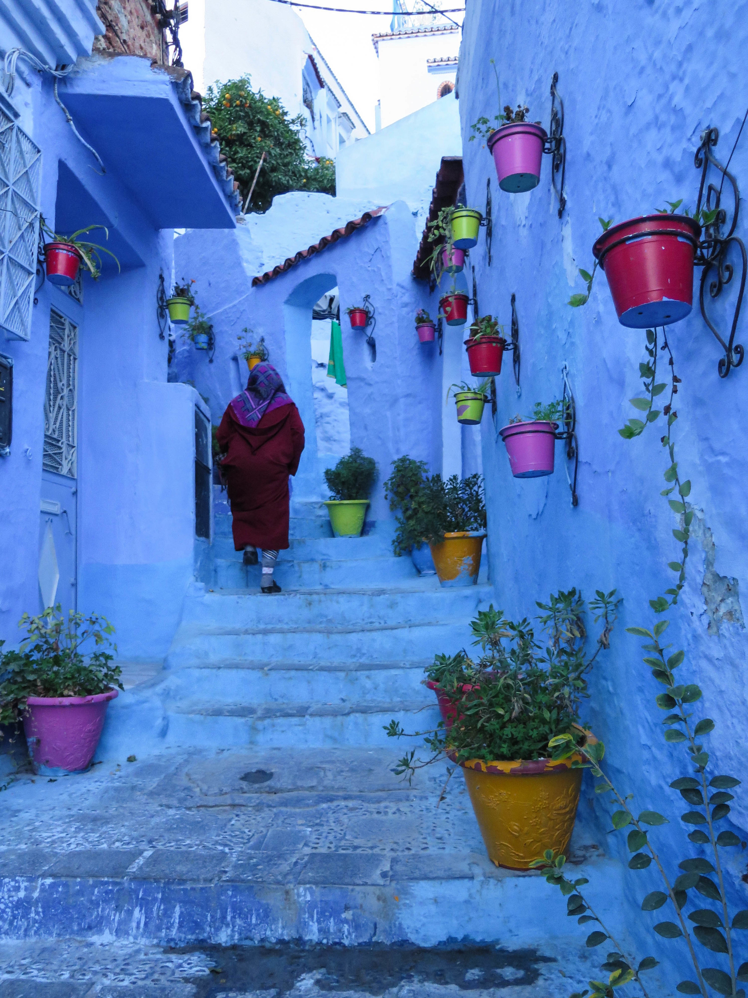 Chefchaouen_Finals-31.jpg