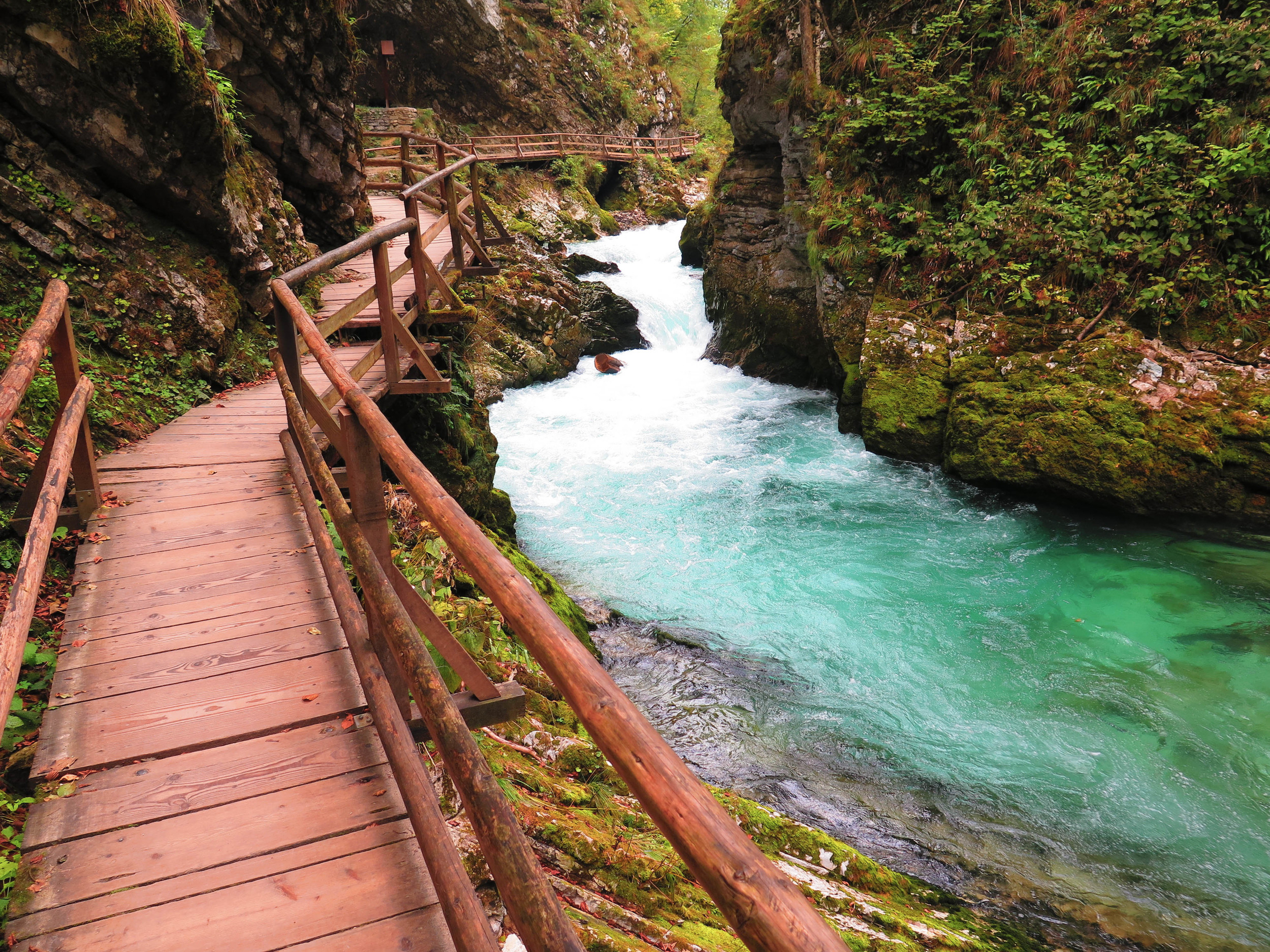Vintgar Gorge, Slovenia