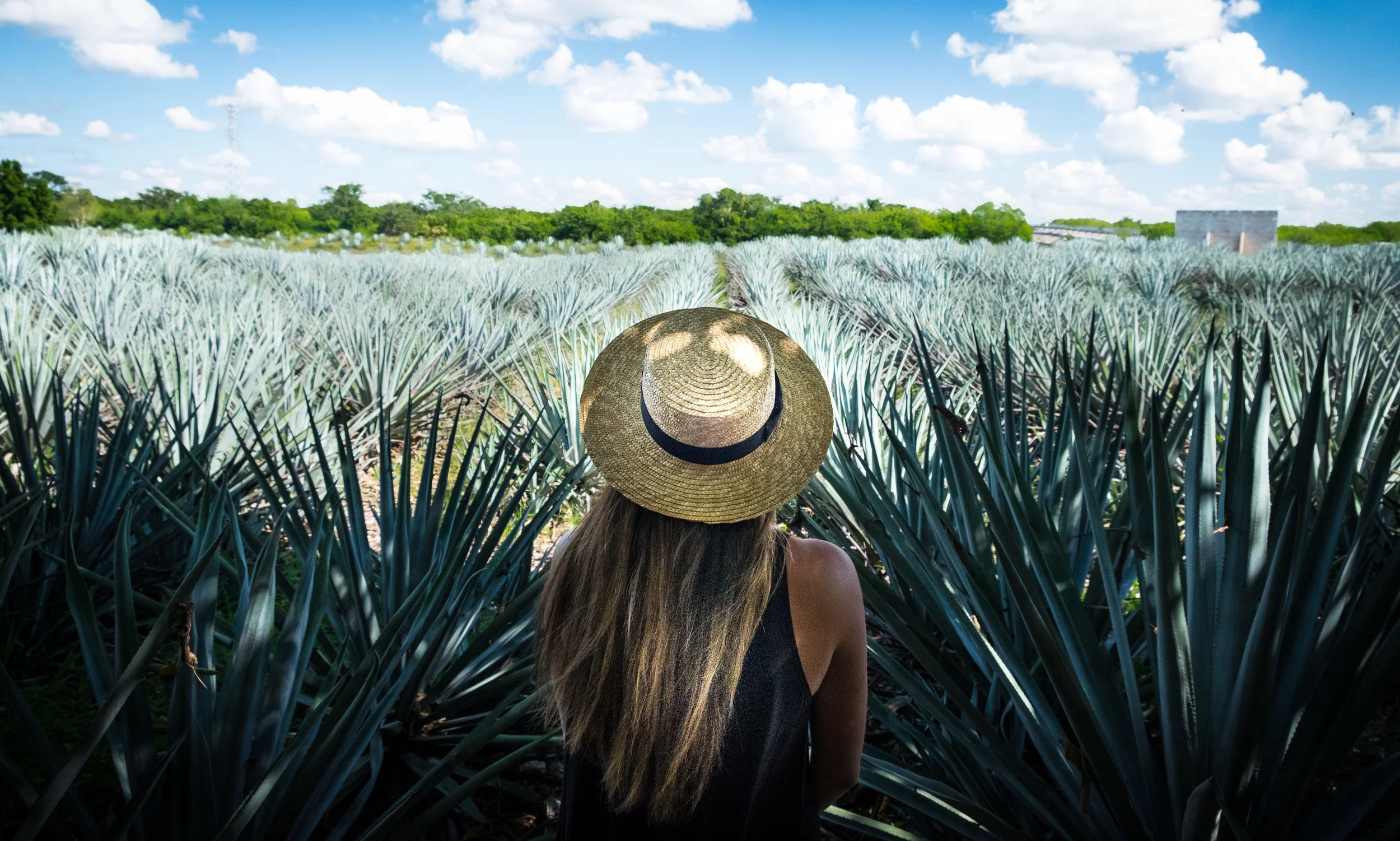 Tulum-Edits-2017-47.jpg