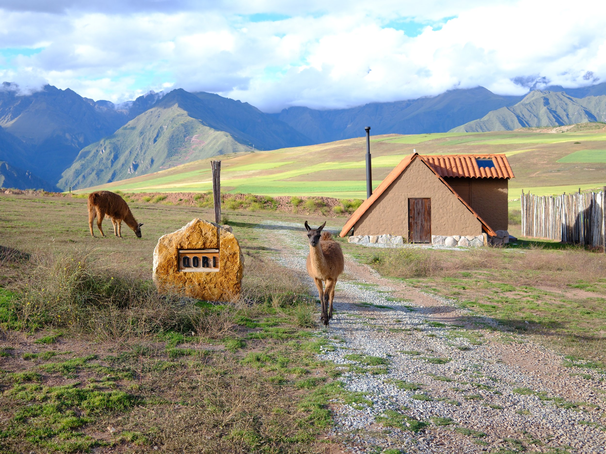 Peru_2026-71.JPG