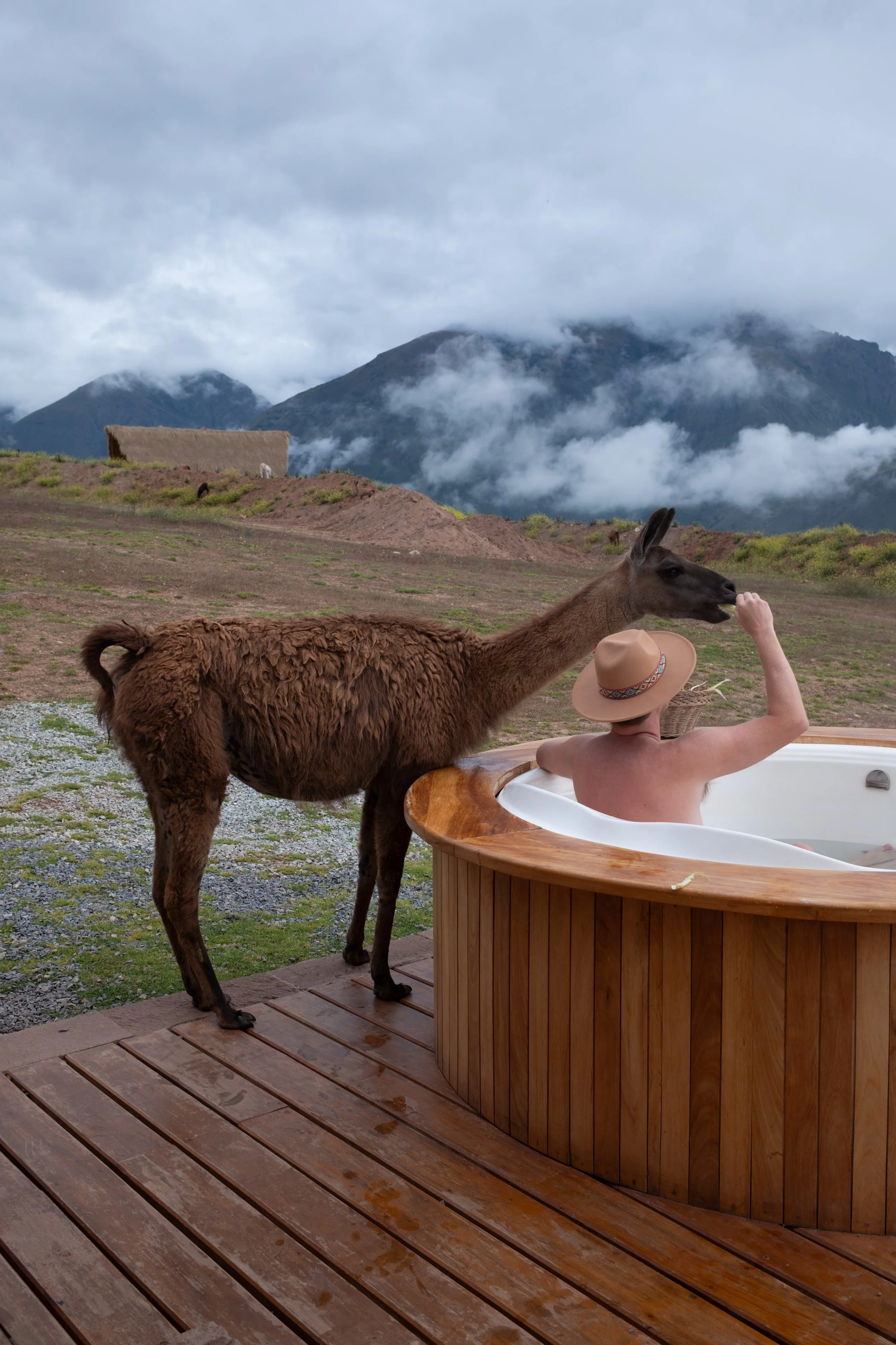 Peru_2026-33.JPG