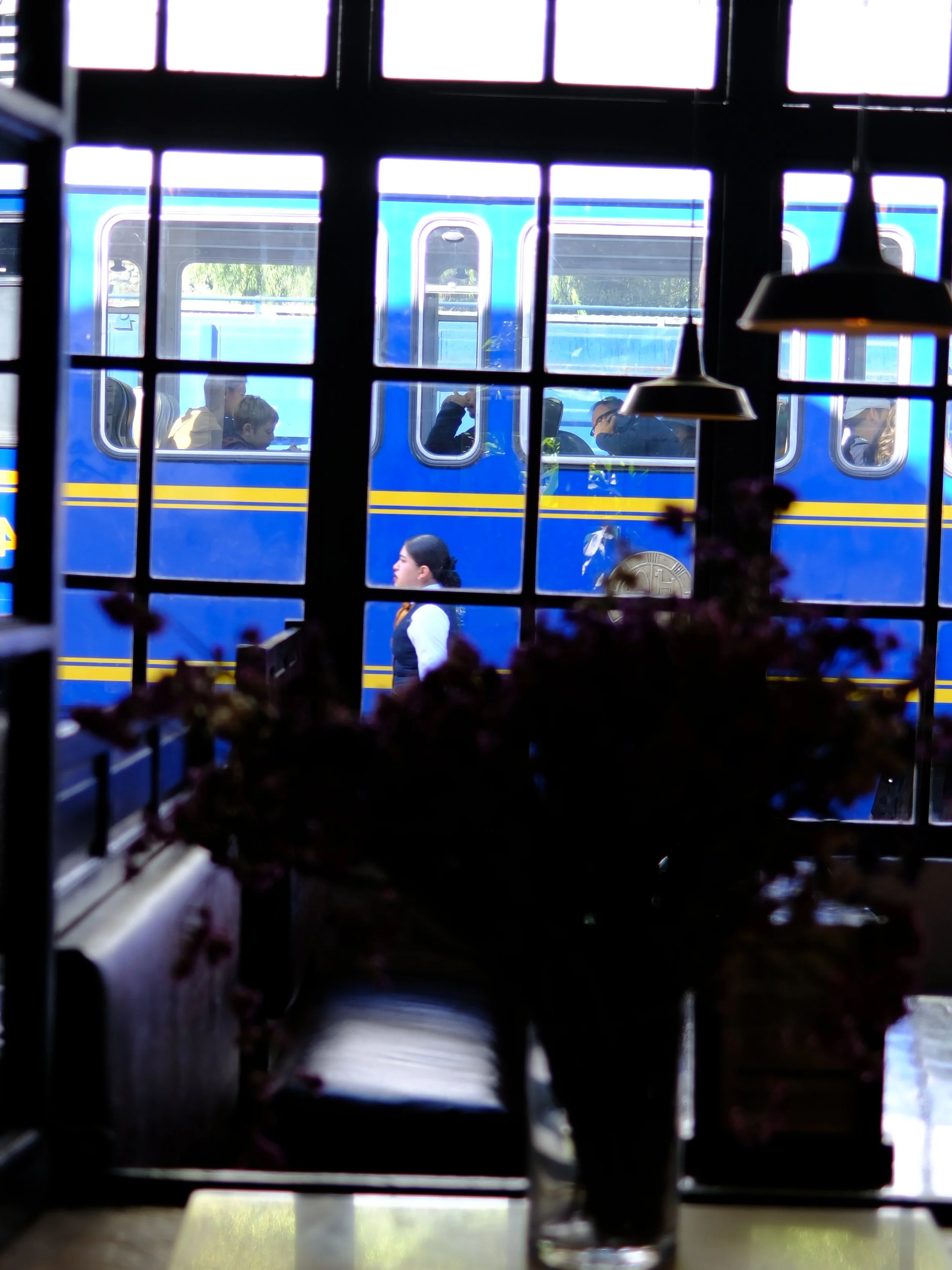 DSCF6646.JPG