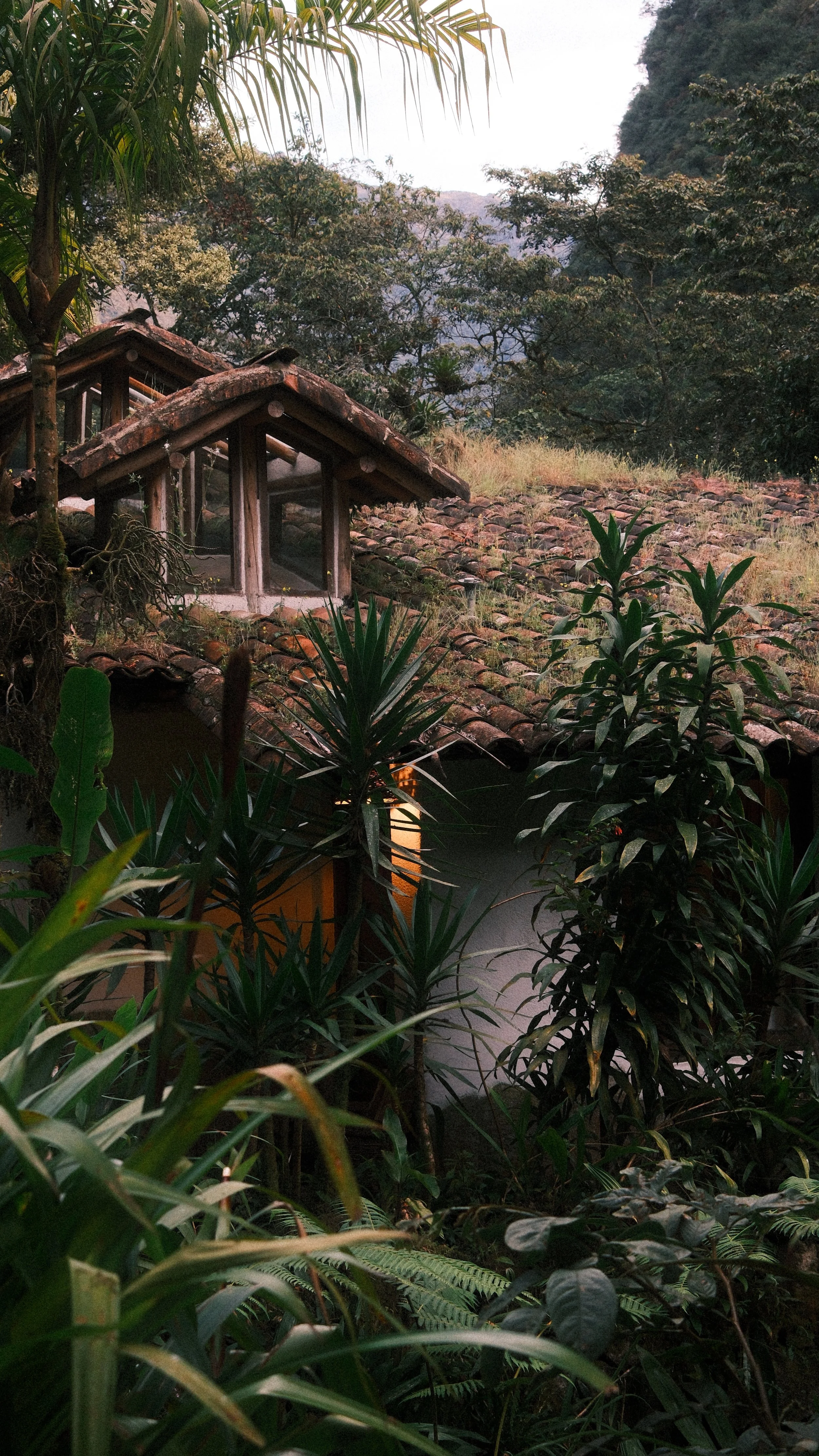 DSCF7090.JPG