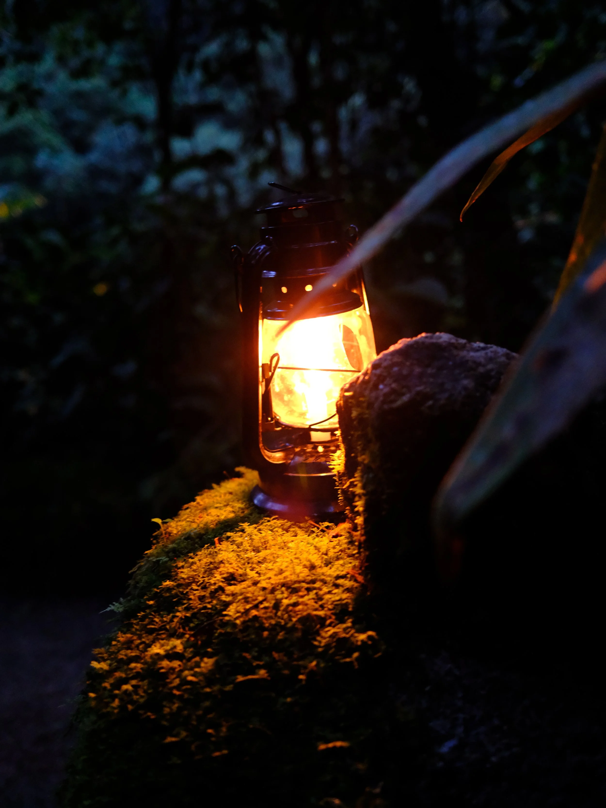 DSCF7149.JPG