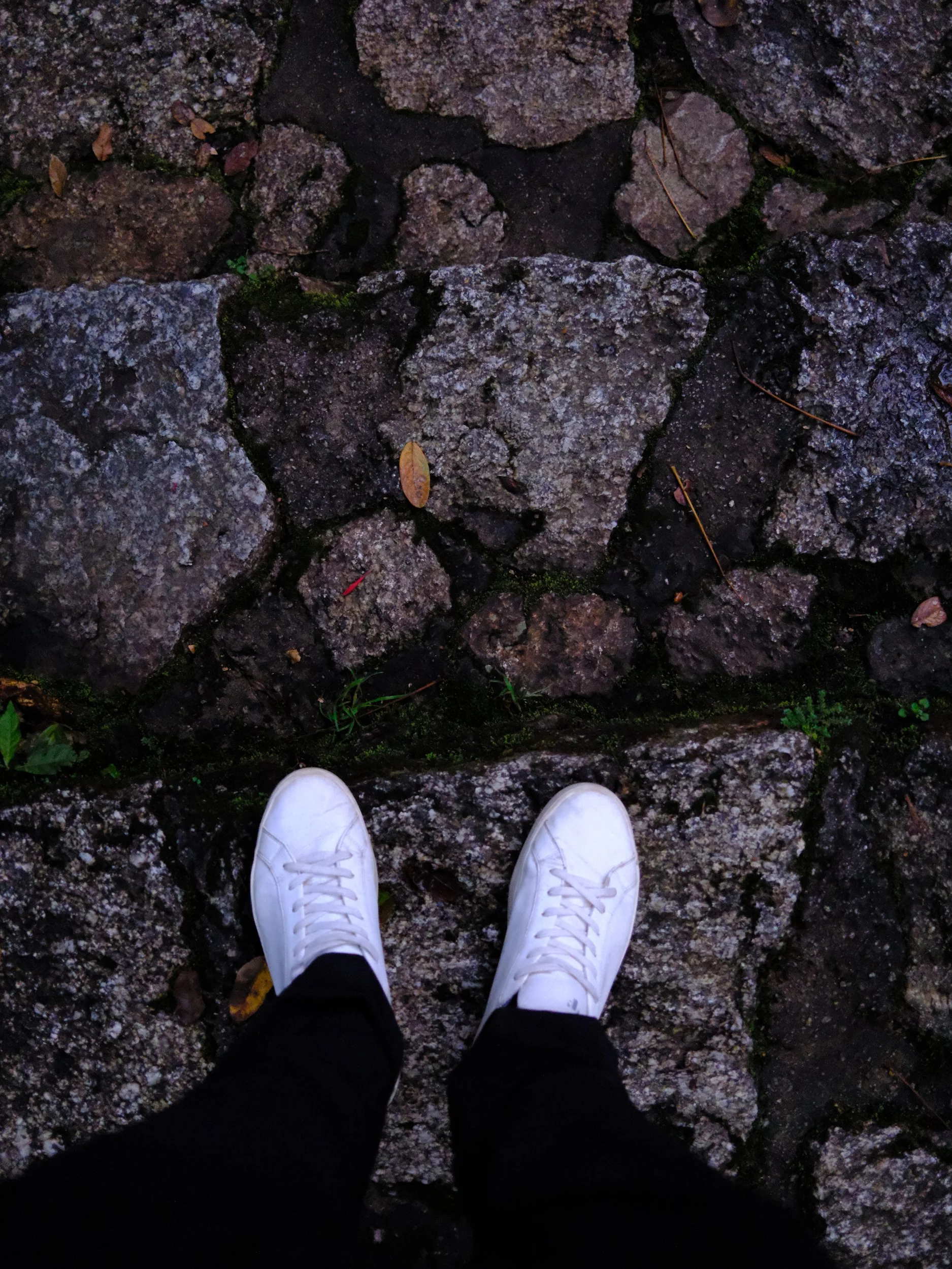 DSCF7096.png