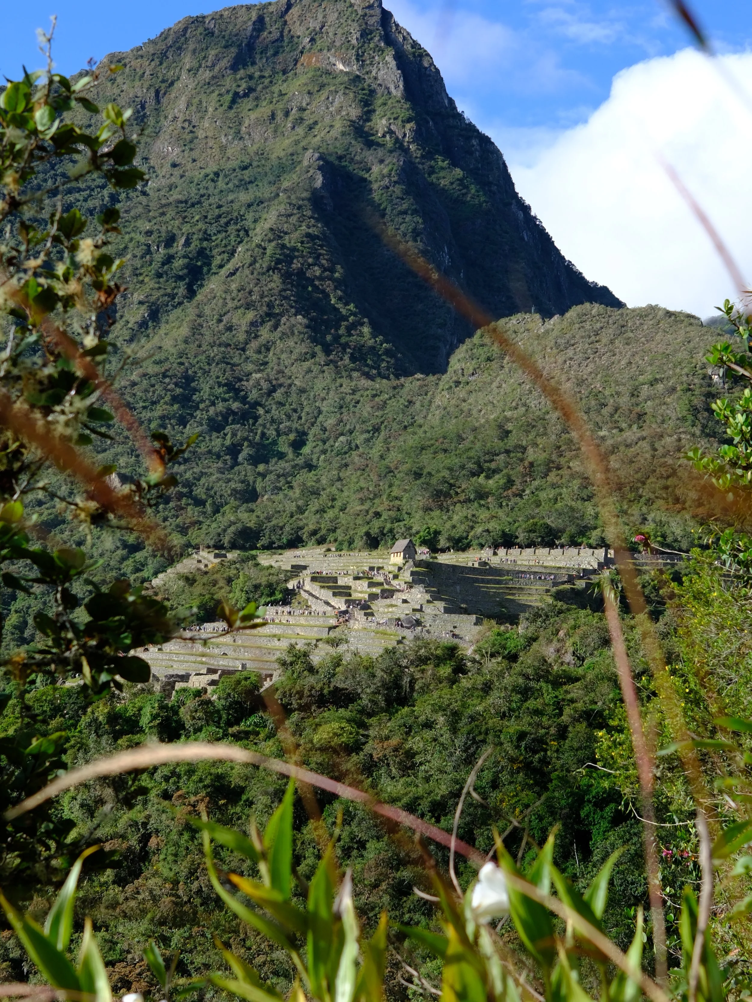 DSCF7179.JPG