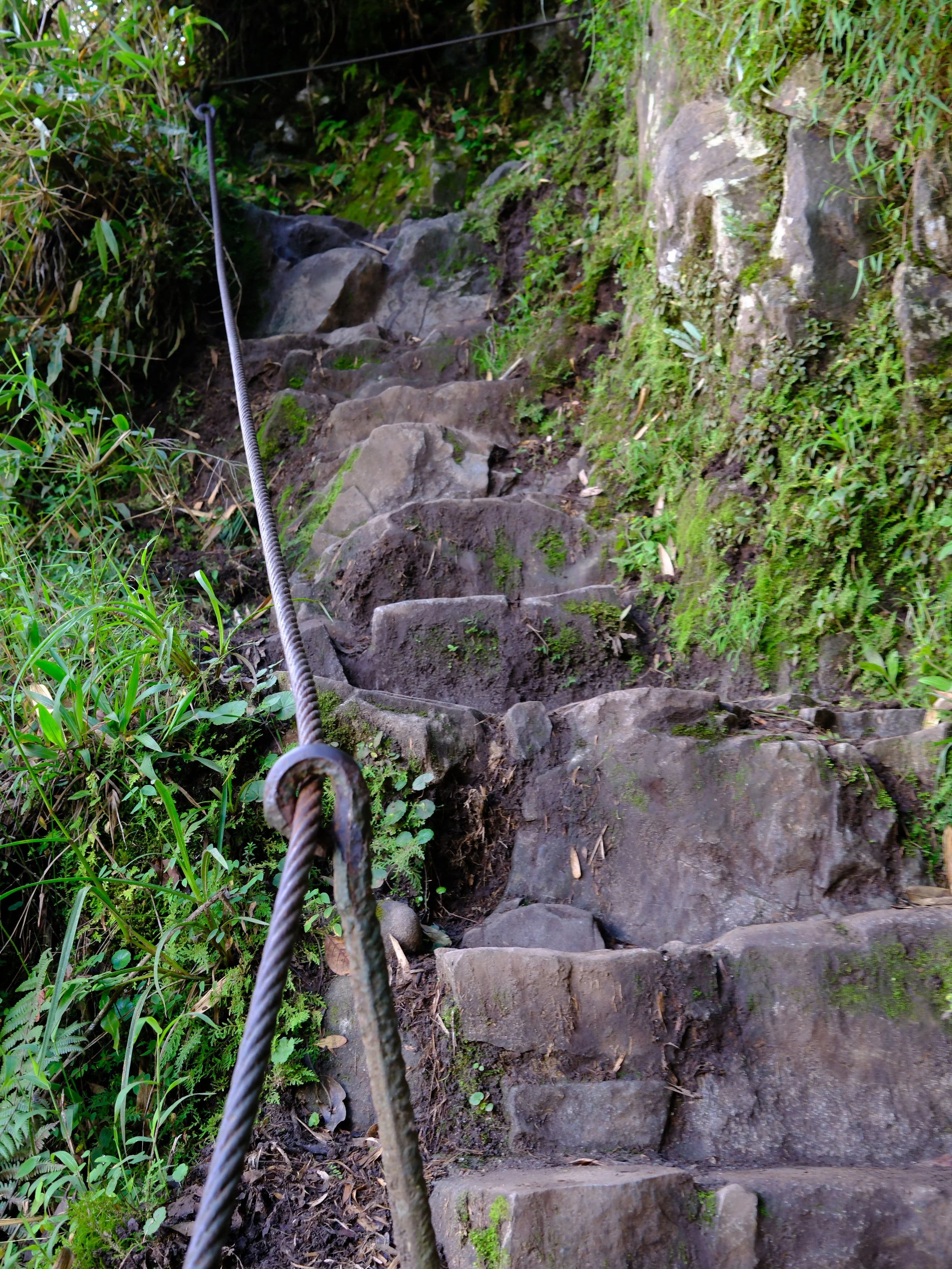DSCF7186.JPG