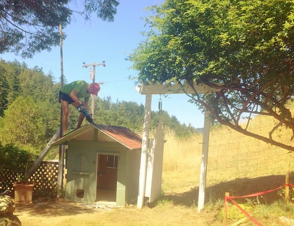 Old playhouse and side”yard” aka hill