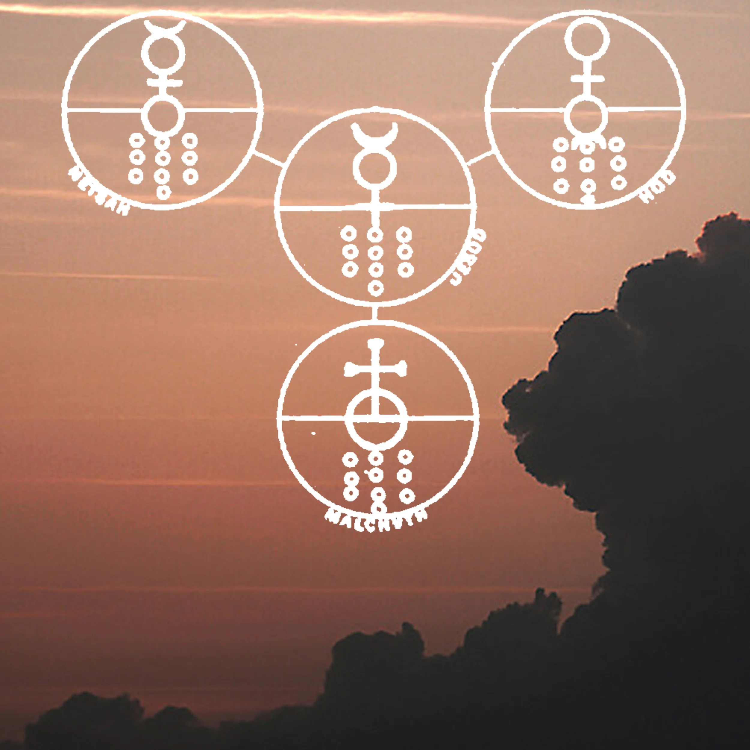 forest digital covers.jpg