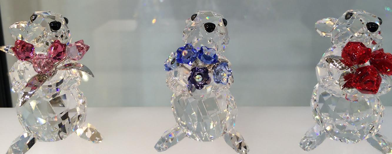 image14.jpg