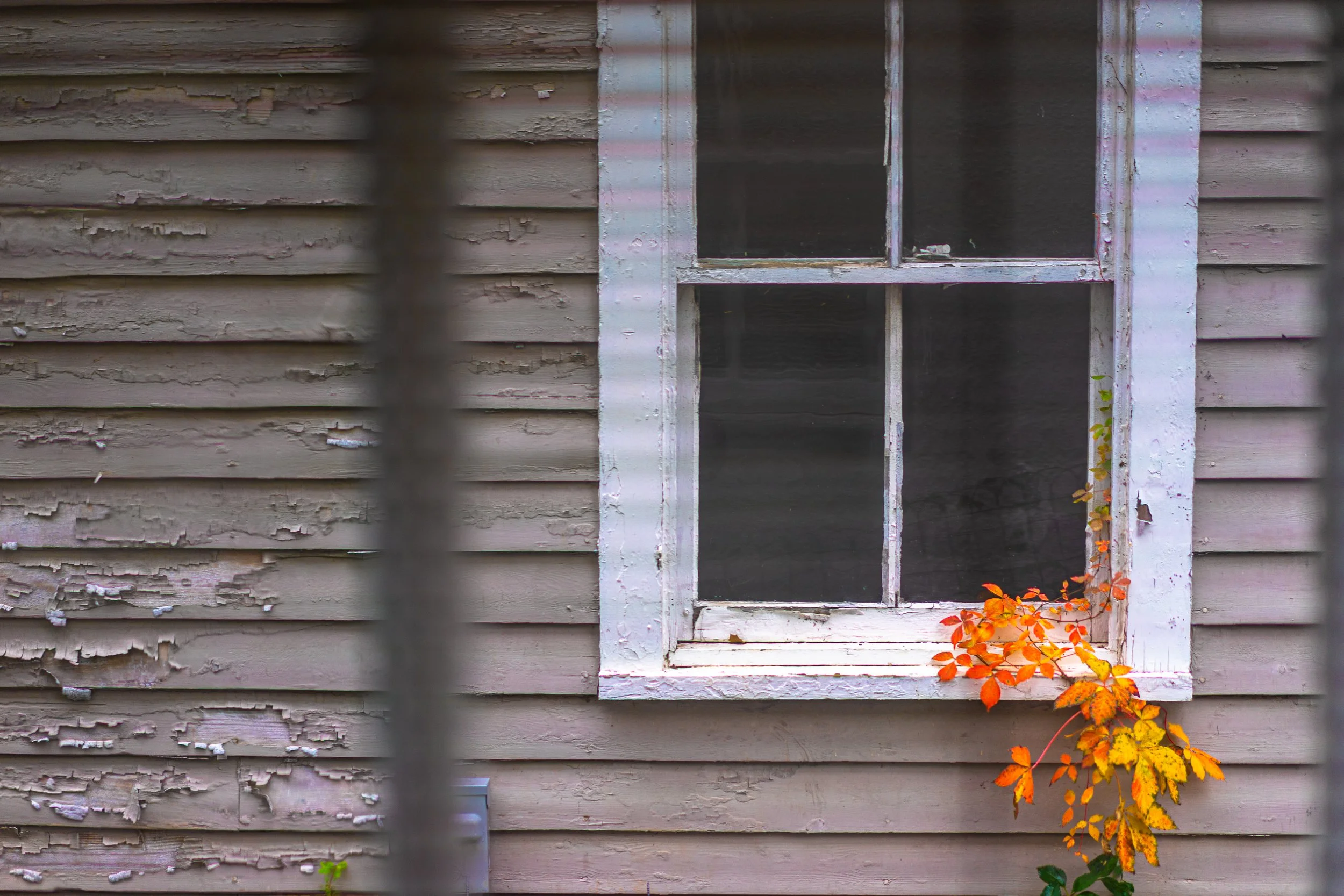 20181102- JASONLAPPA - 0061-10.jpg