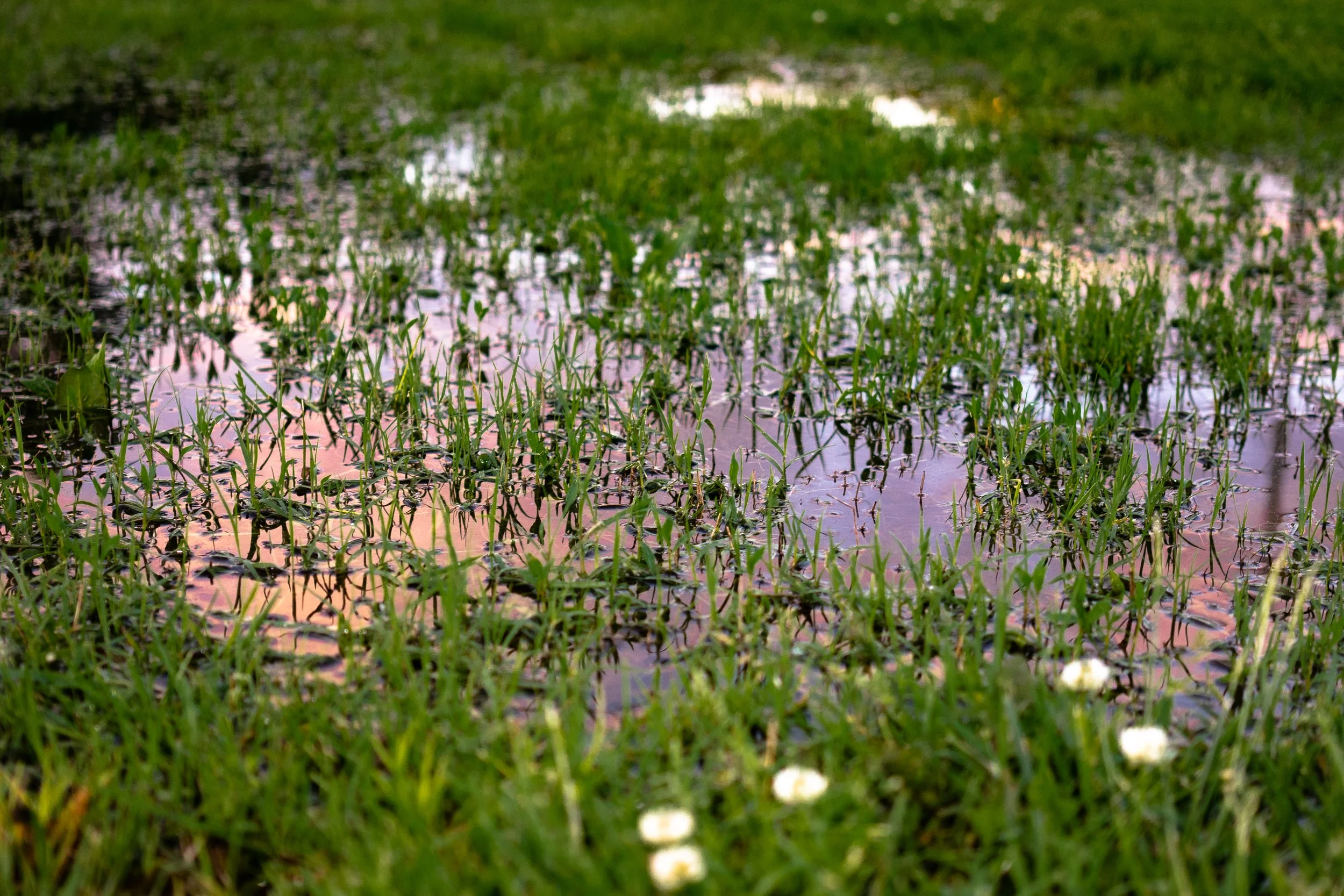 20190513- JASONLAPPA - 0067-31.jpg