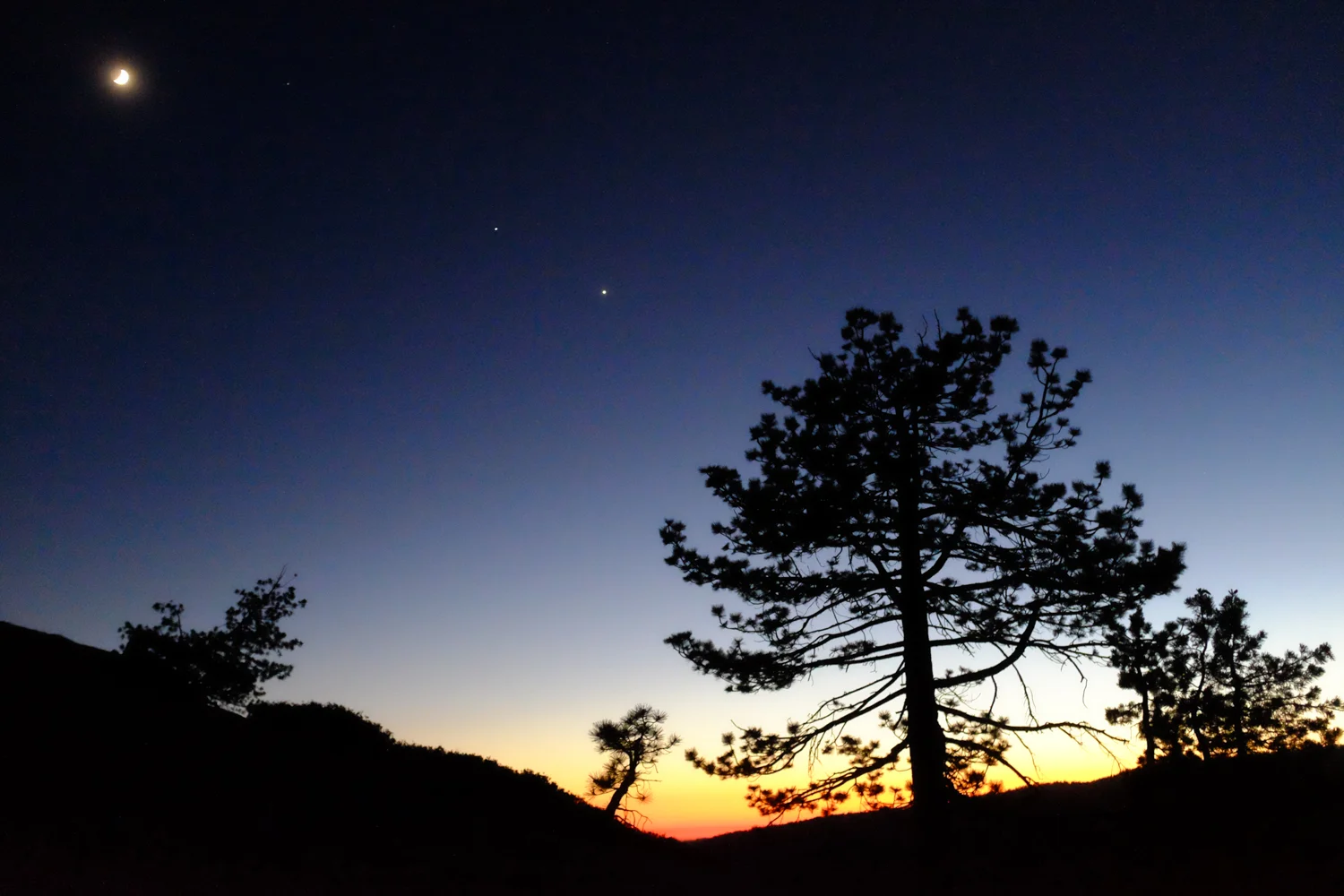 DSCF2435.jpg