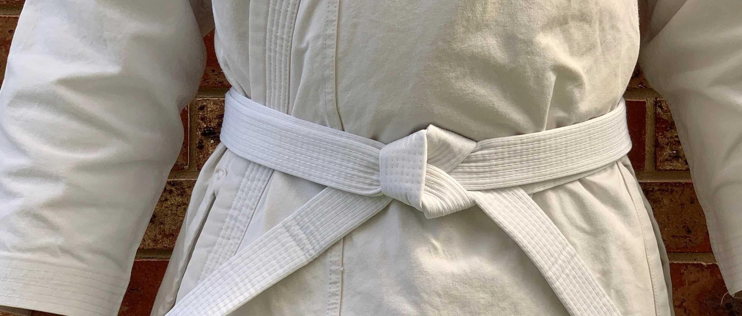 White Belt.JPG