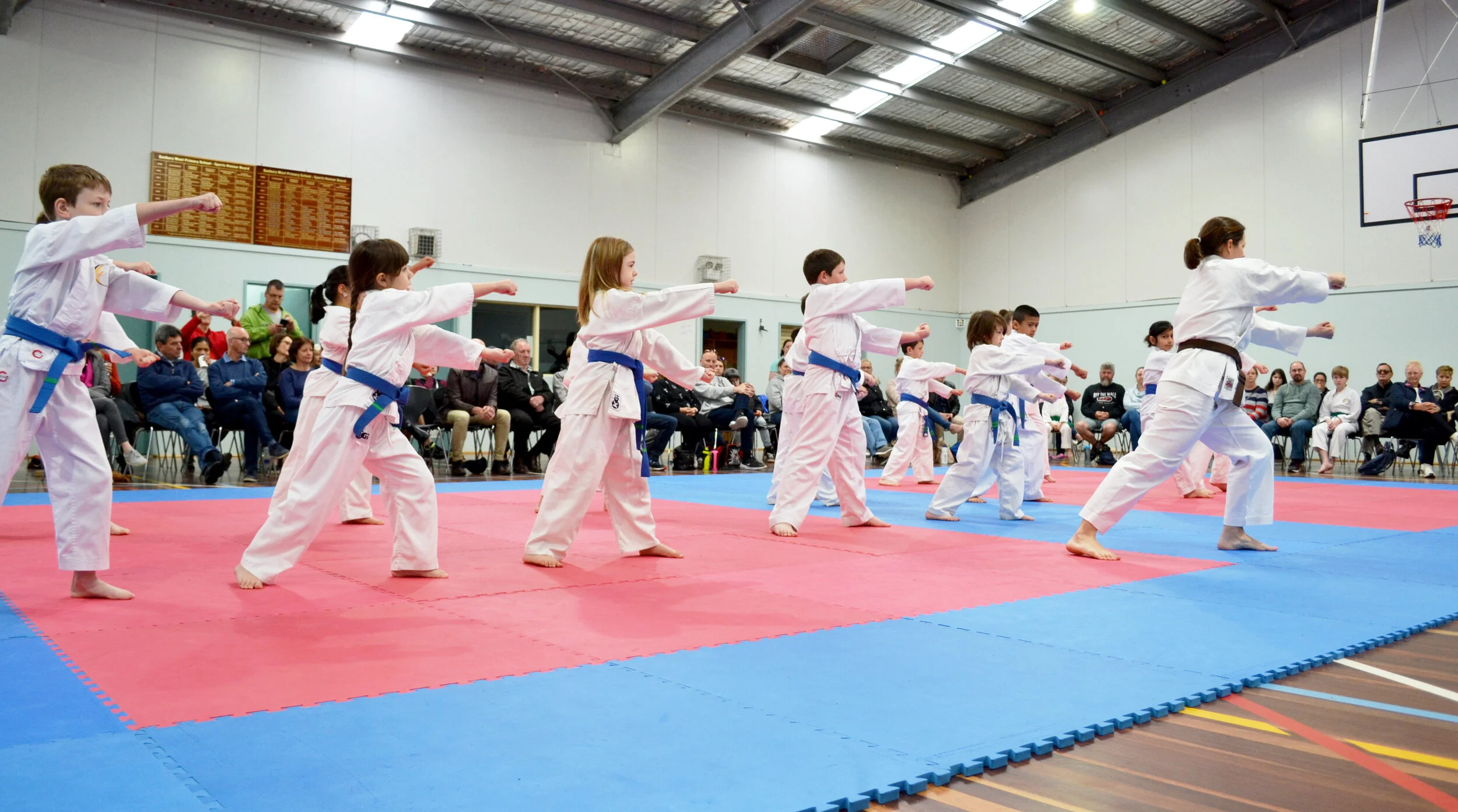 Wellbeing Martial Arts News — Wellbeing Martial Arts