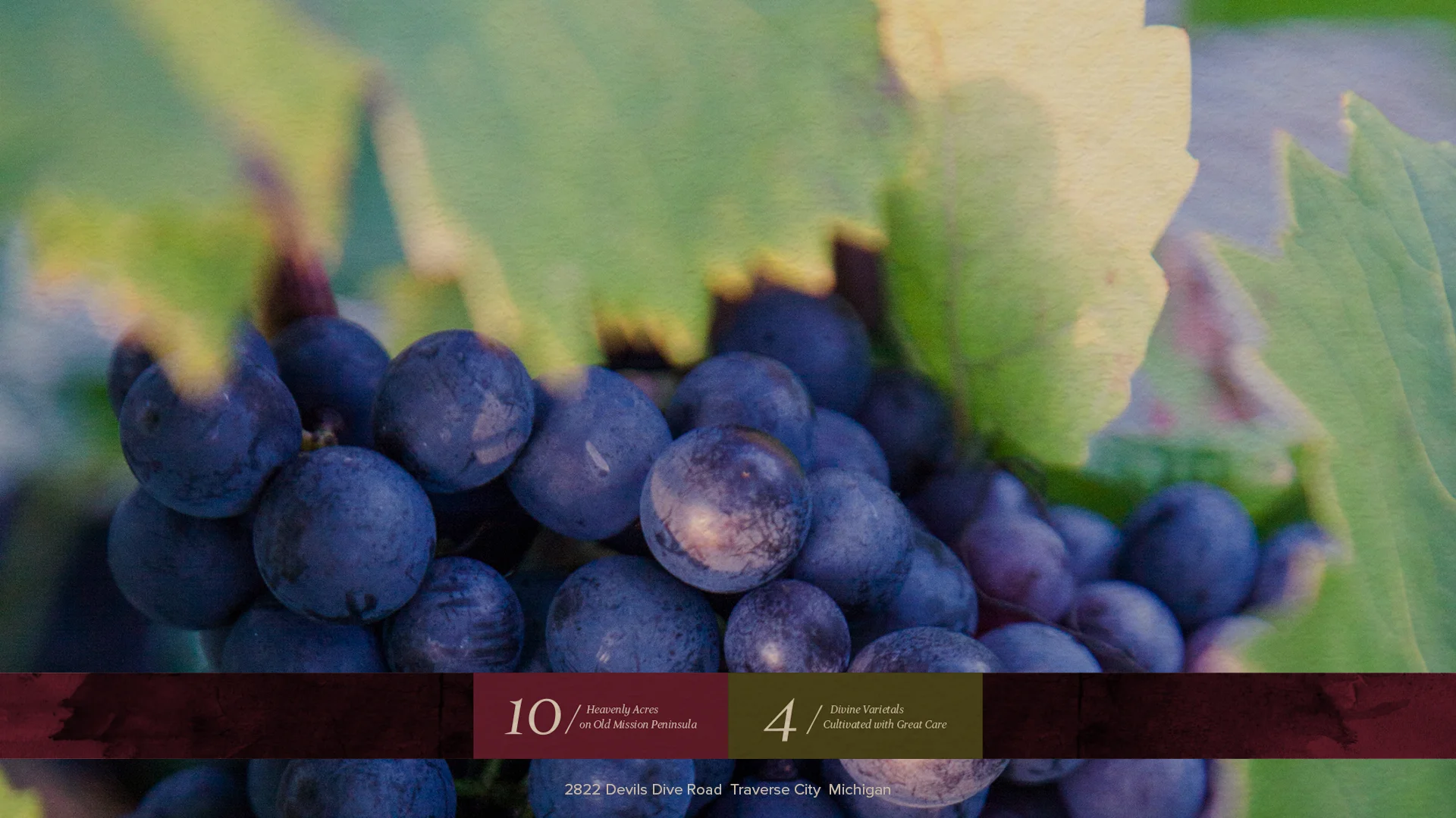 DDV-WEBgrapes.jpg