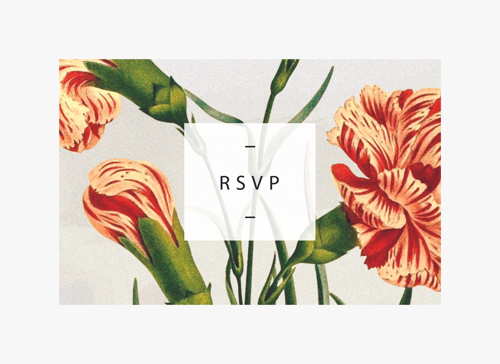RSVP_back.jpg